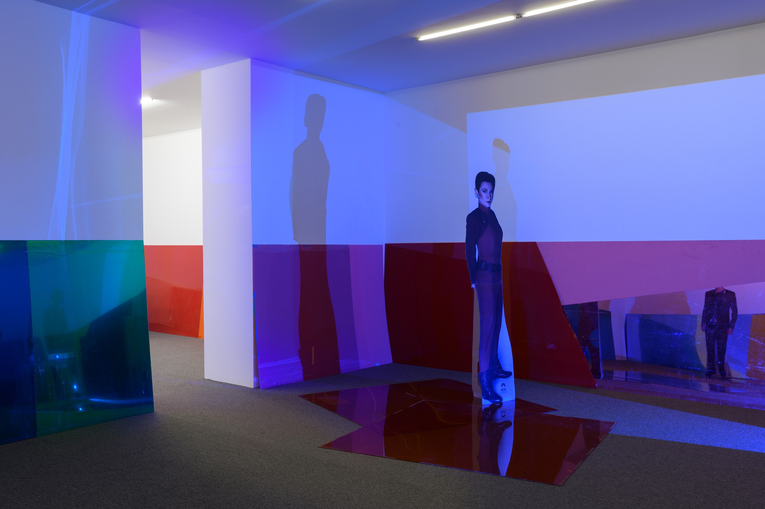 Lutz Bacher, Into the Dimensional Corridor at Galerie Buchholz, Berlin, photo 12