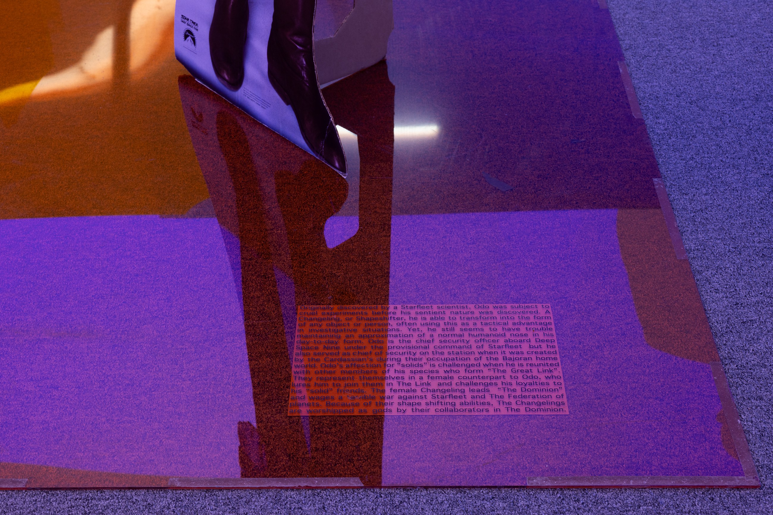 Lutz Bacher, Into the Dimensional Corridor at Galerie Buchholz, Berlin, photo 10