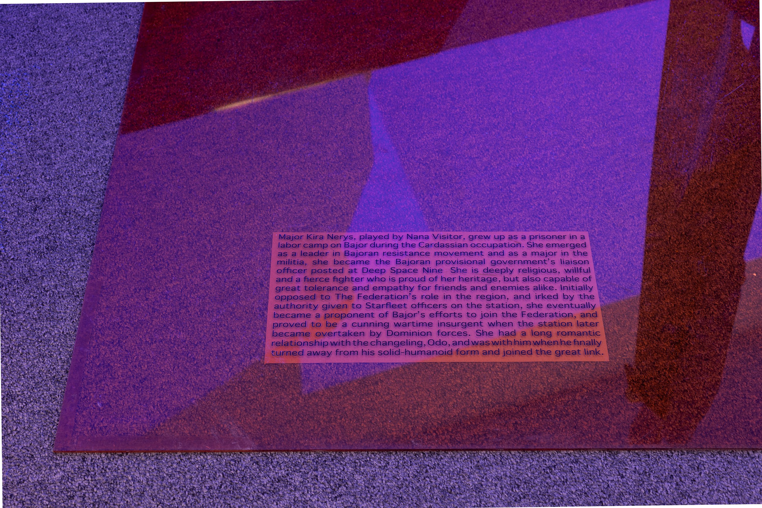 Lutz Bacher, Into the Dimensional Corridor at Galerie Buchholz, Berlin, photo 14