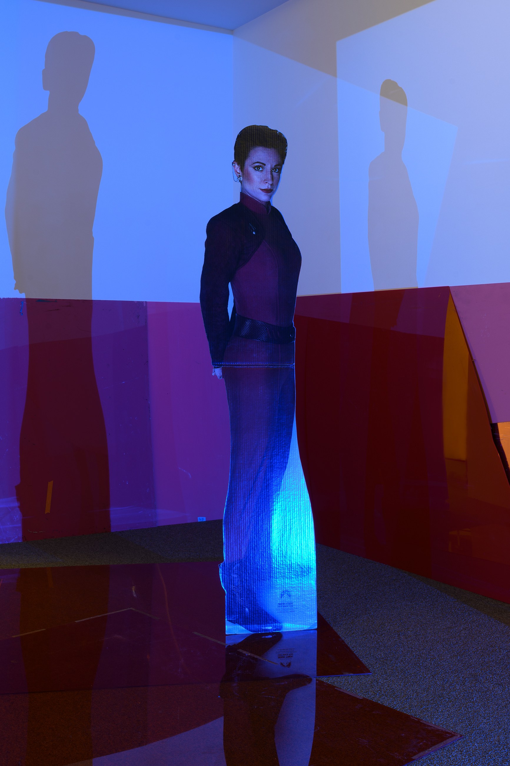 Lutz Bacher, Into the Dimensional Corridor at Galerie Buchholz, Berlin, photo 13