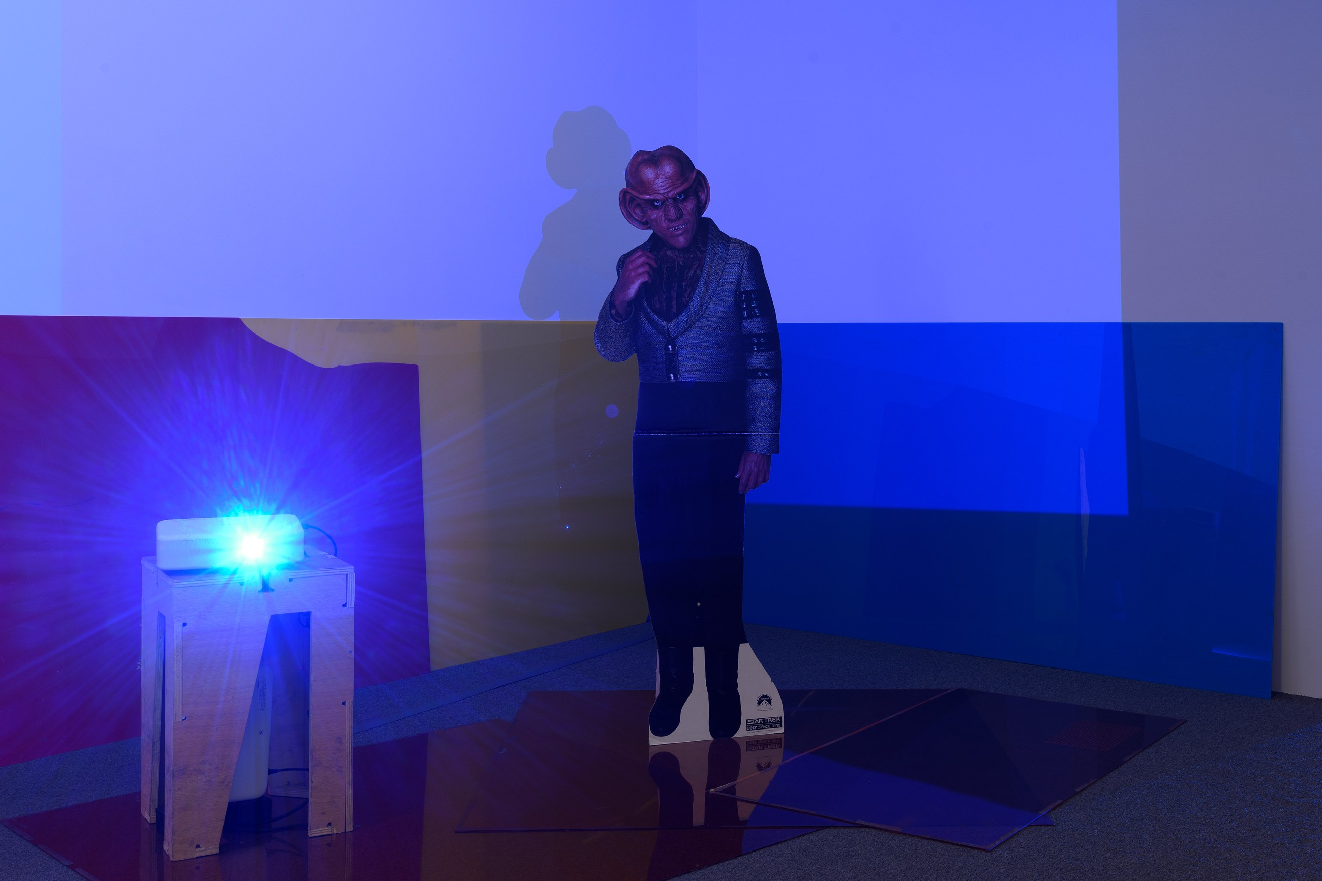 Lutz Bacher, Into the Dimensional Corridor at Galerie Buchholz, Berlin, photo 17