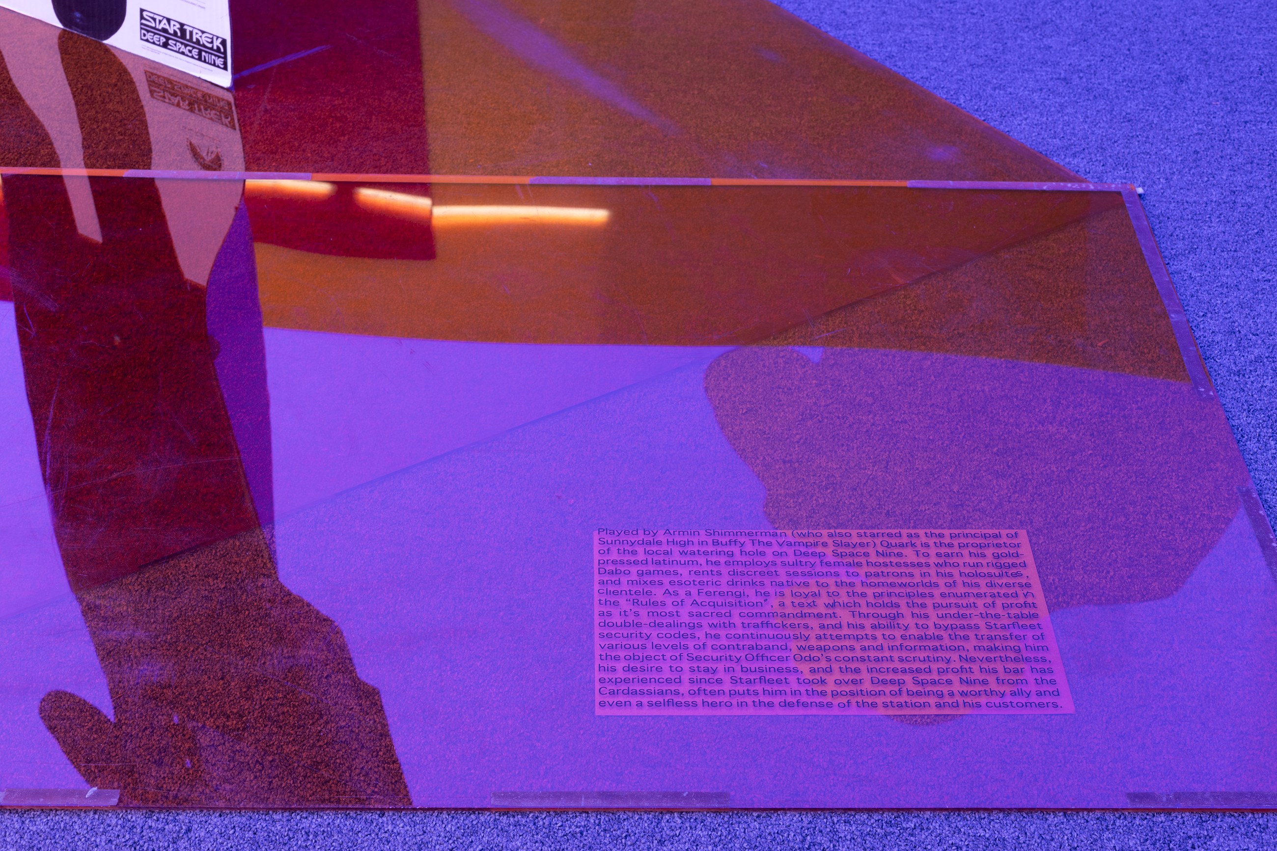 Lutz Bacher, Into the Dimensional Corridor at Galerie Buchholz, Berlin, photo 18