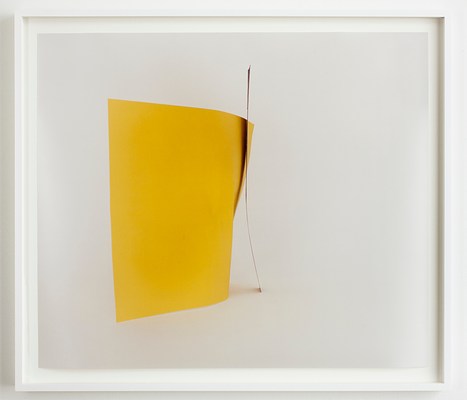 Image 12 of 12