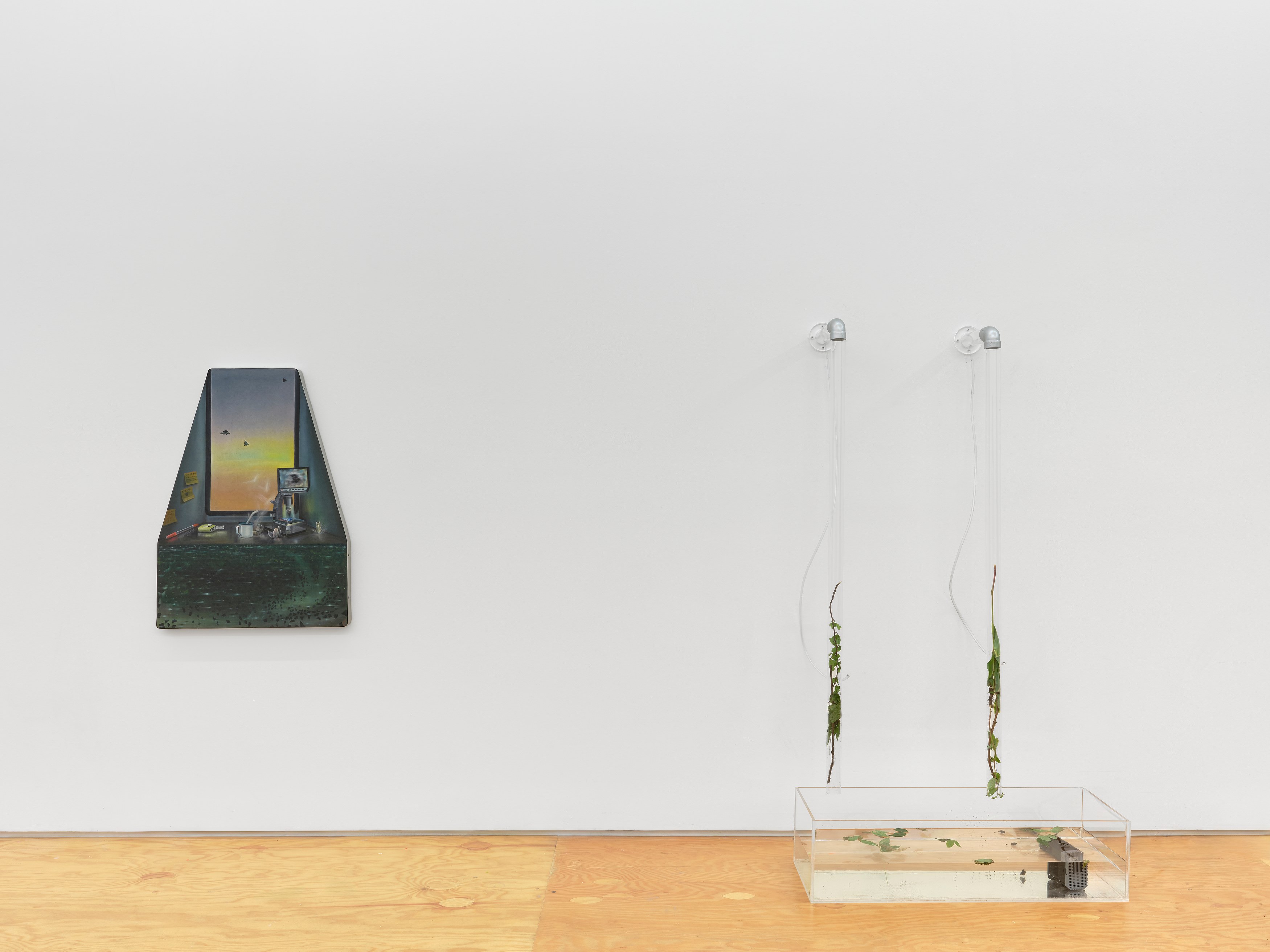 Carolina Fusilier, Imago at Margot Samel, photo 4