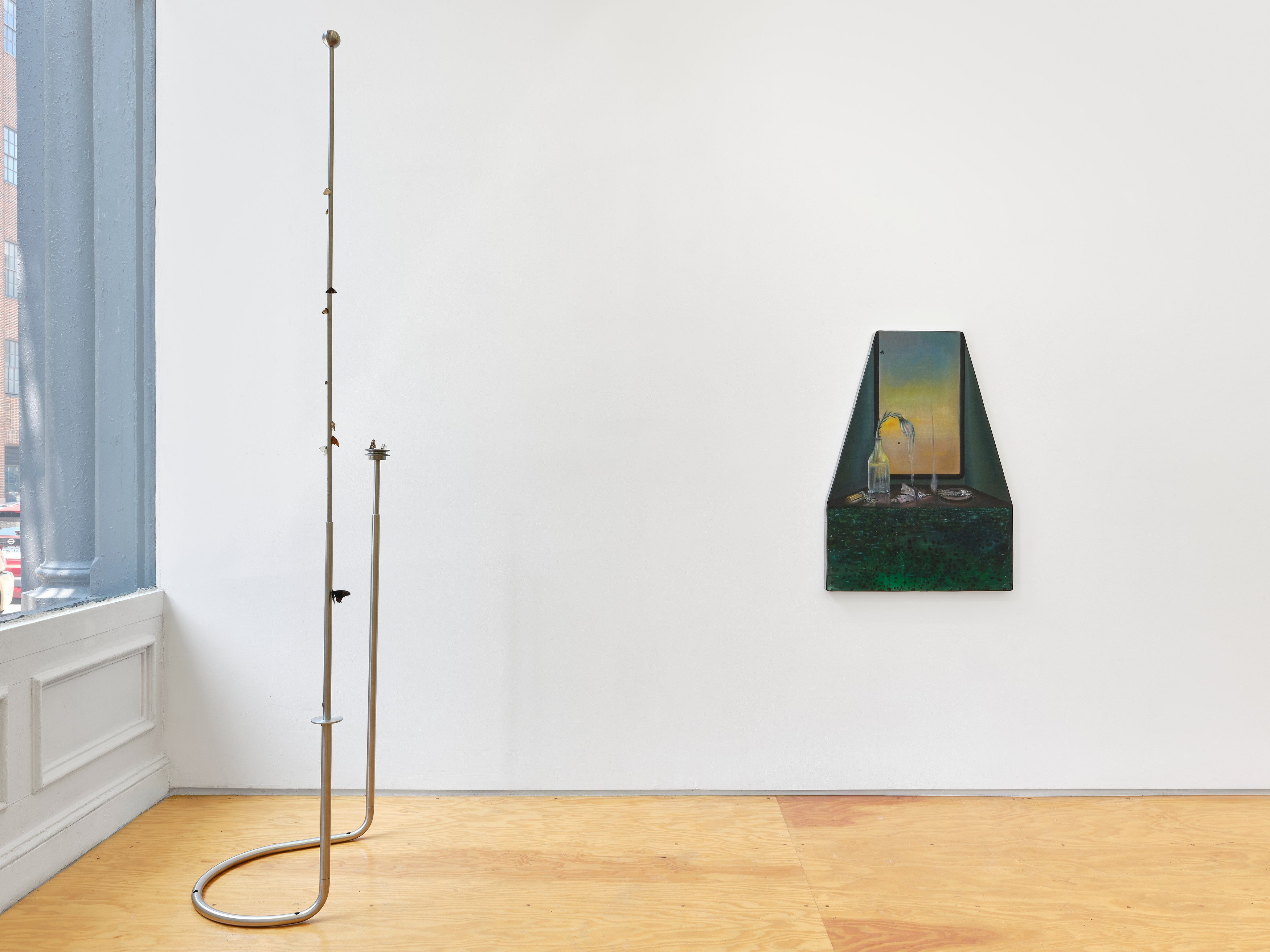 Carolina Fusilier, Imago at Margot Samel, photo 2