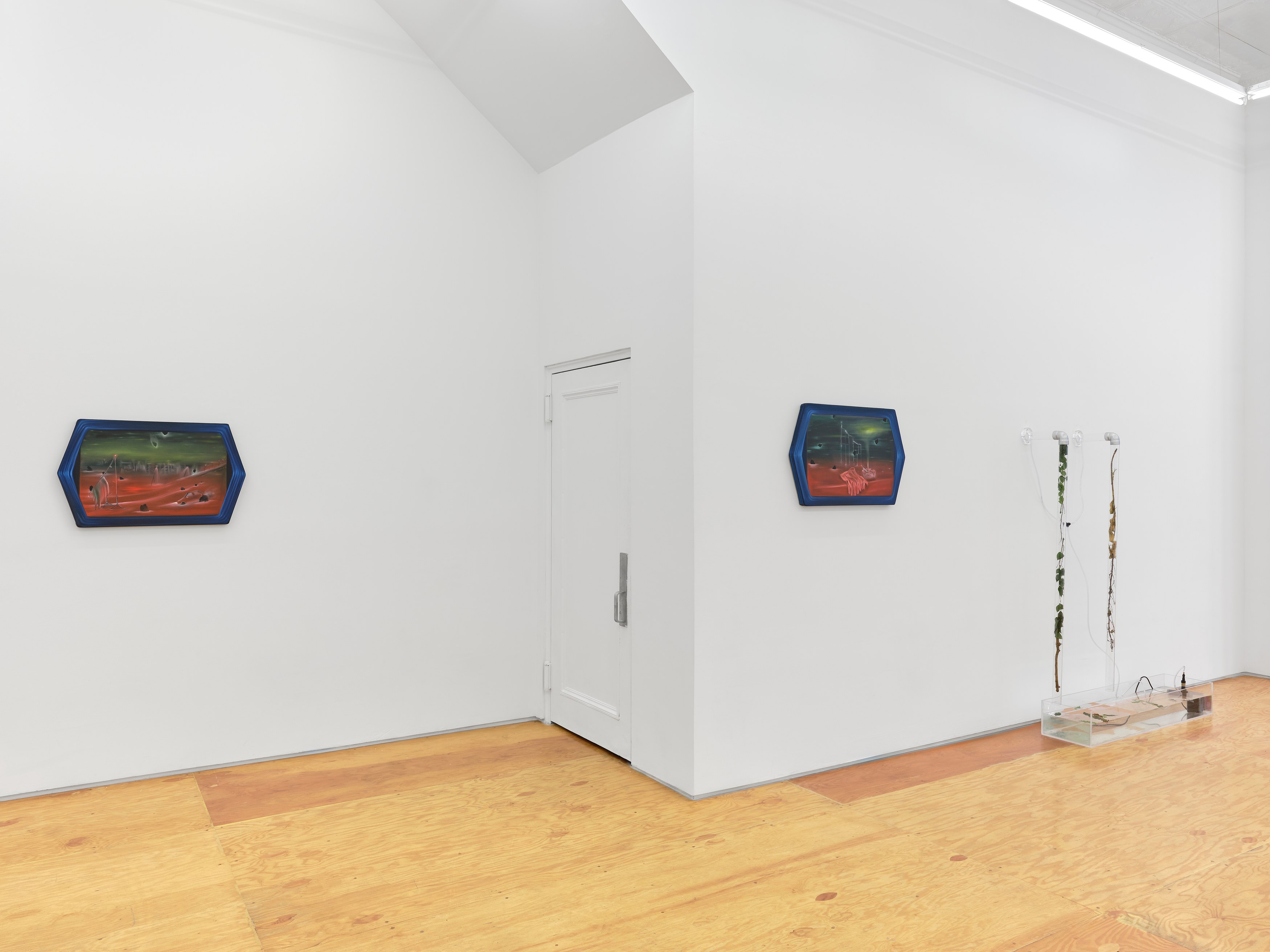 Carolina Fusilier, Imago at Margot Samel, photo 7