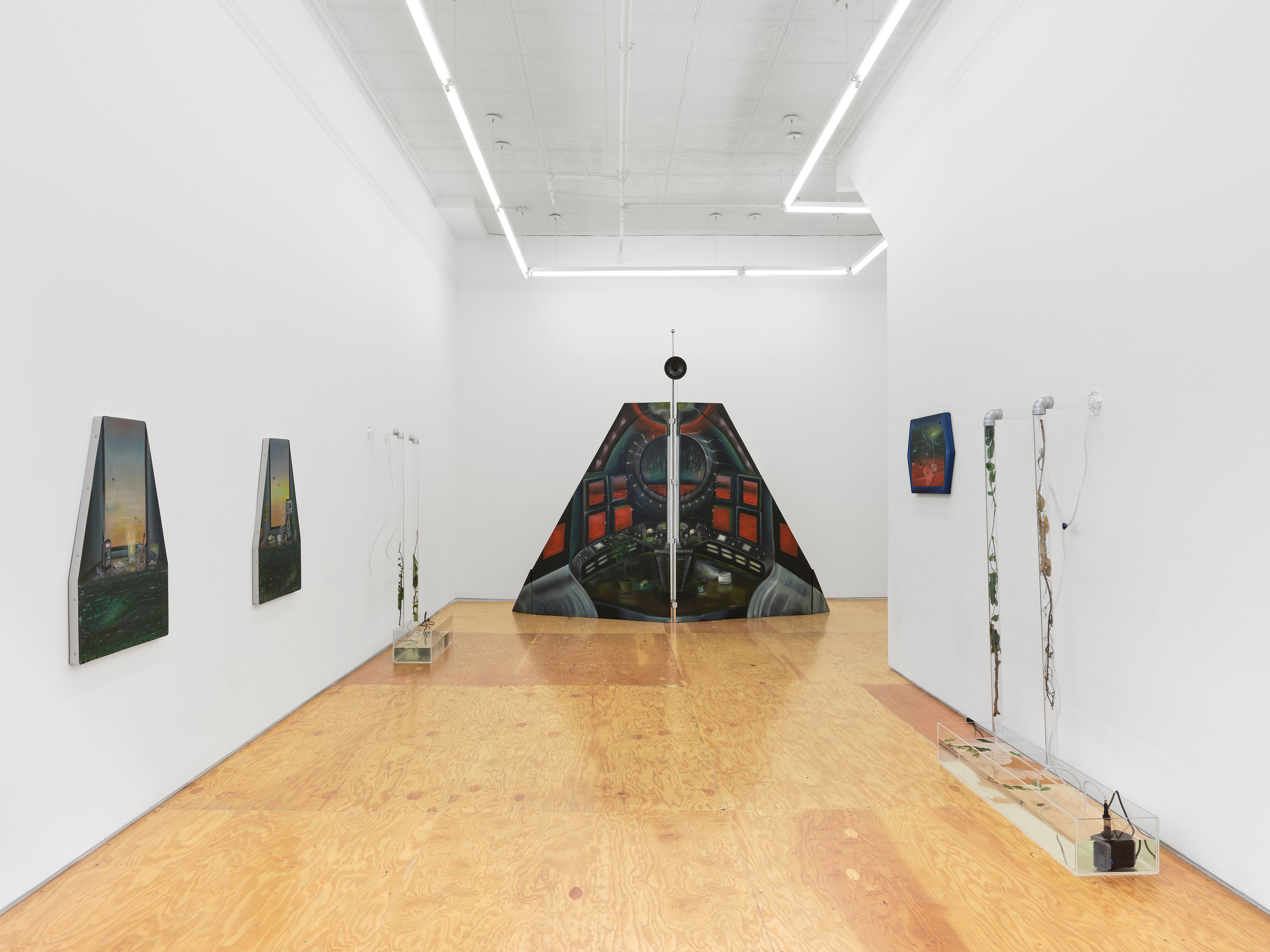 Carolina Fusilier, Imago at Margot Samel, photo 10
