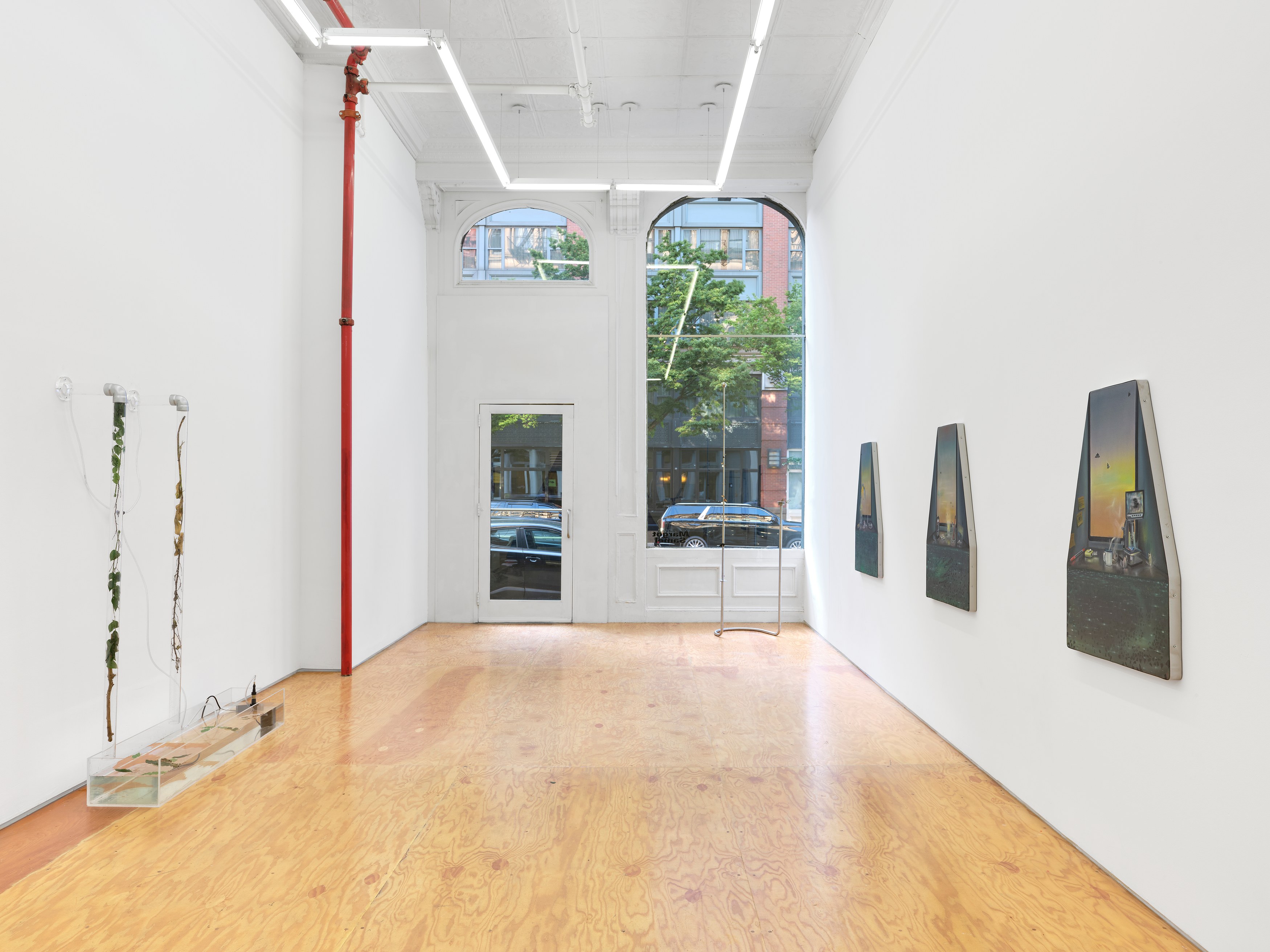Carolina Fusilier, Imago at Margot Samel, photo 9