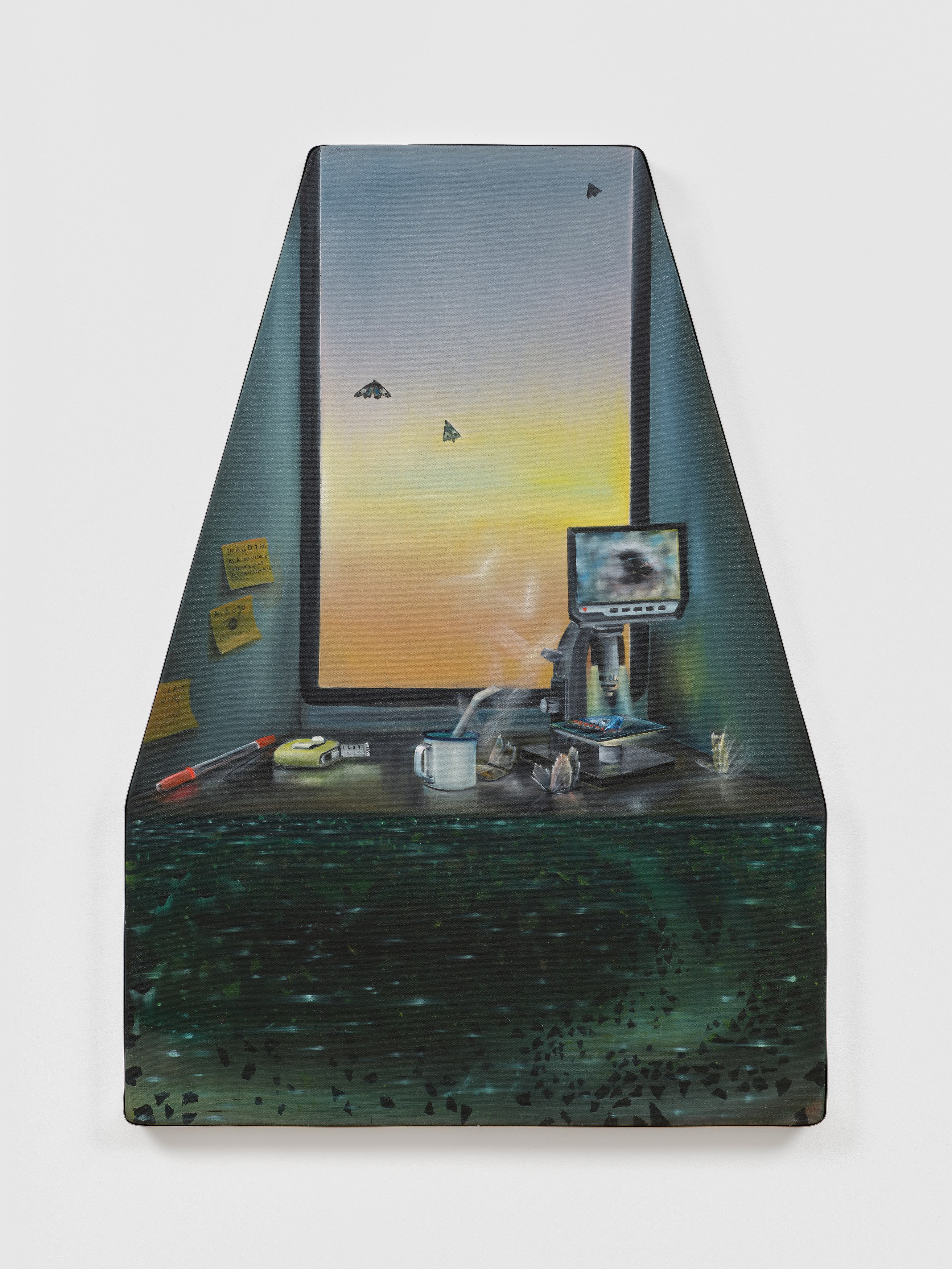 Carolina Fusilier, Imago at Margot Samel, photo 13