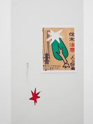 Image 7 of 22