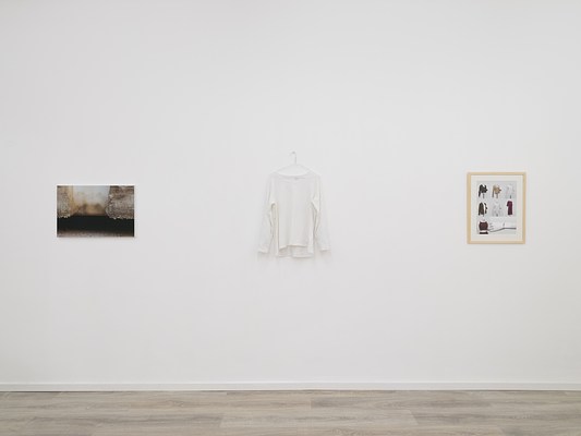 Image 9 of 22