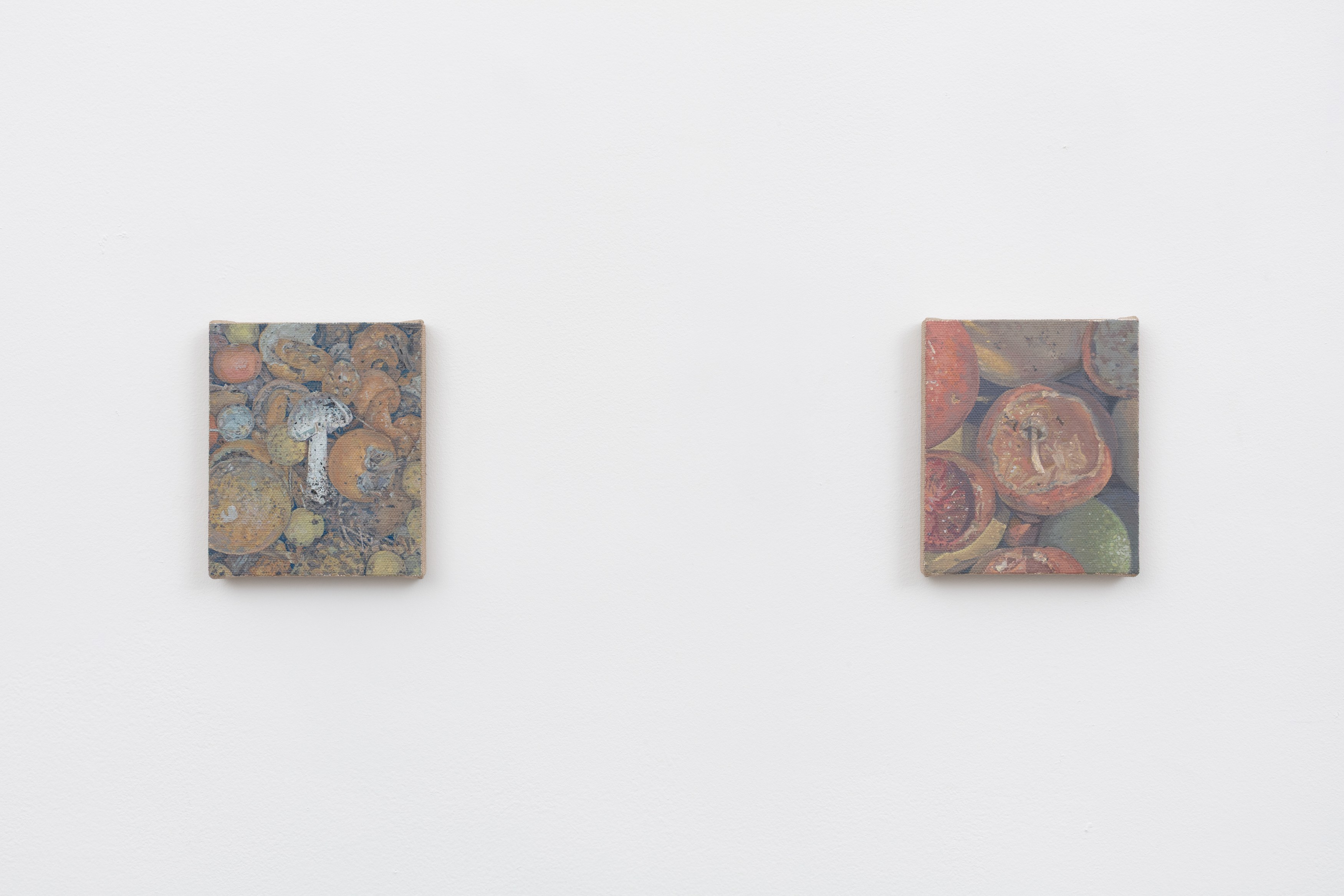 Michael Lombardo, Pearl Snap at NOON Projects, photo 16