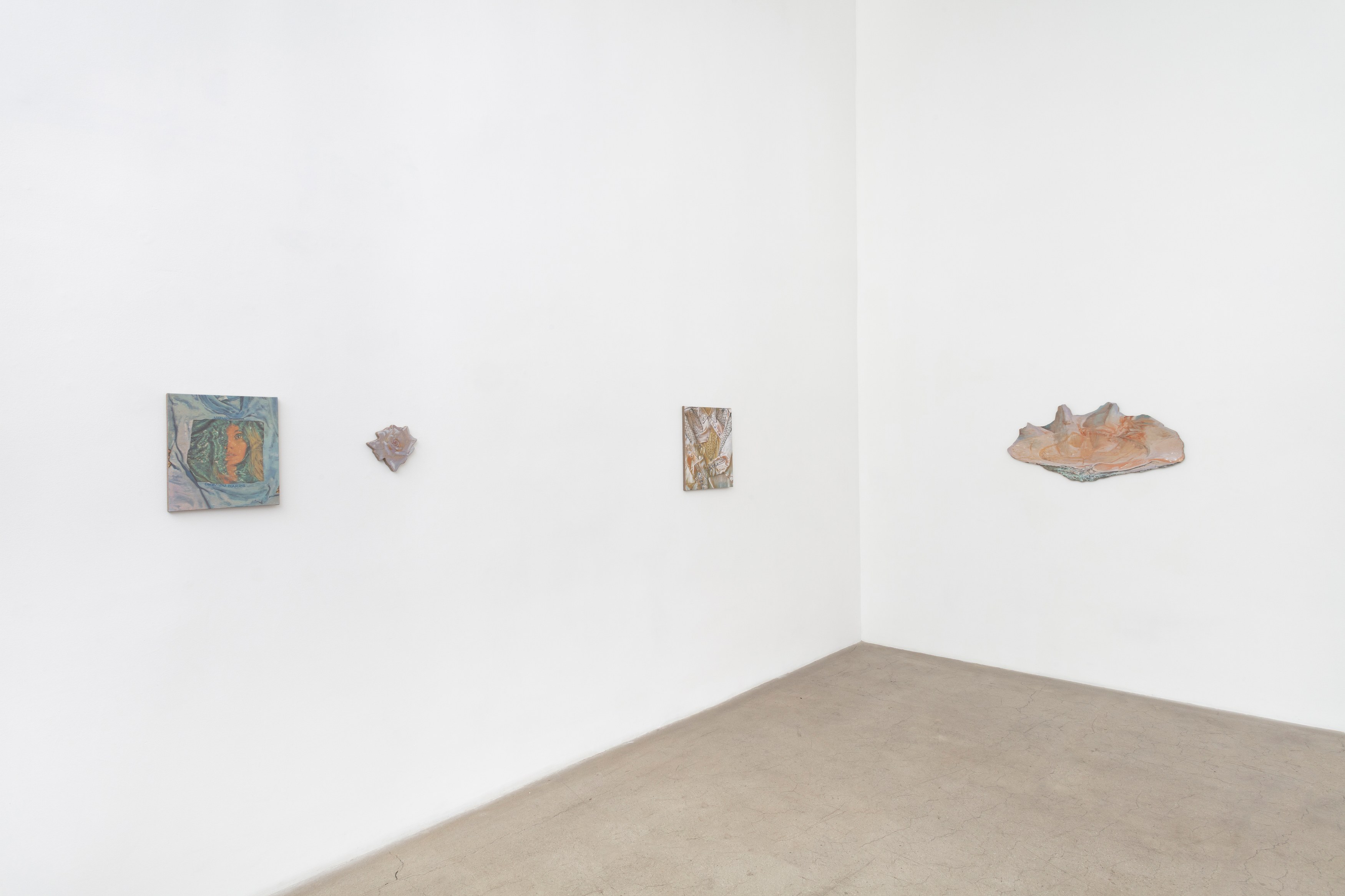 Michael Lombardo, Pearl Snap at NOON Projects, photo 20