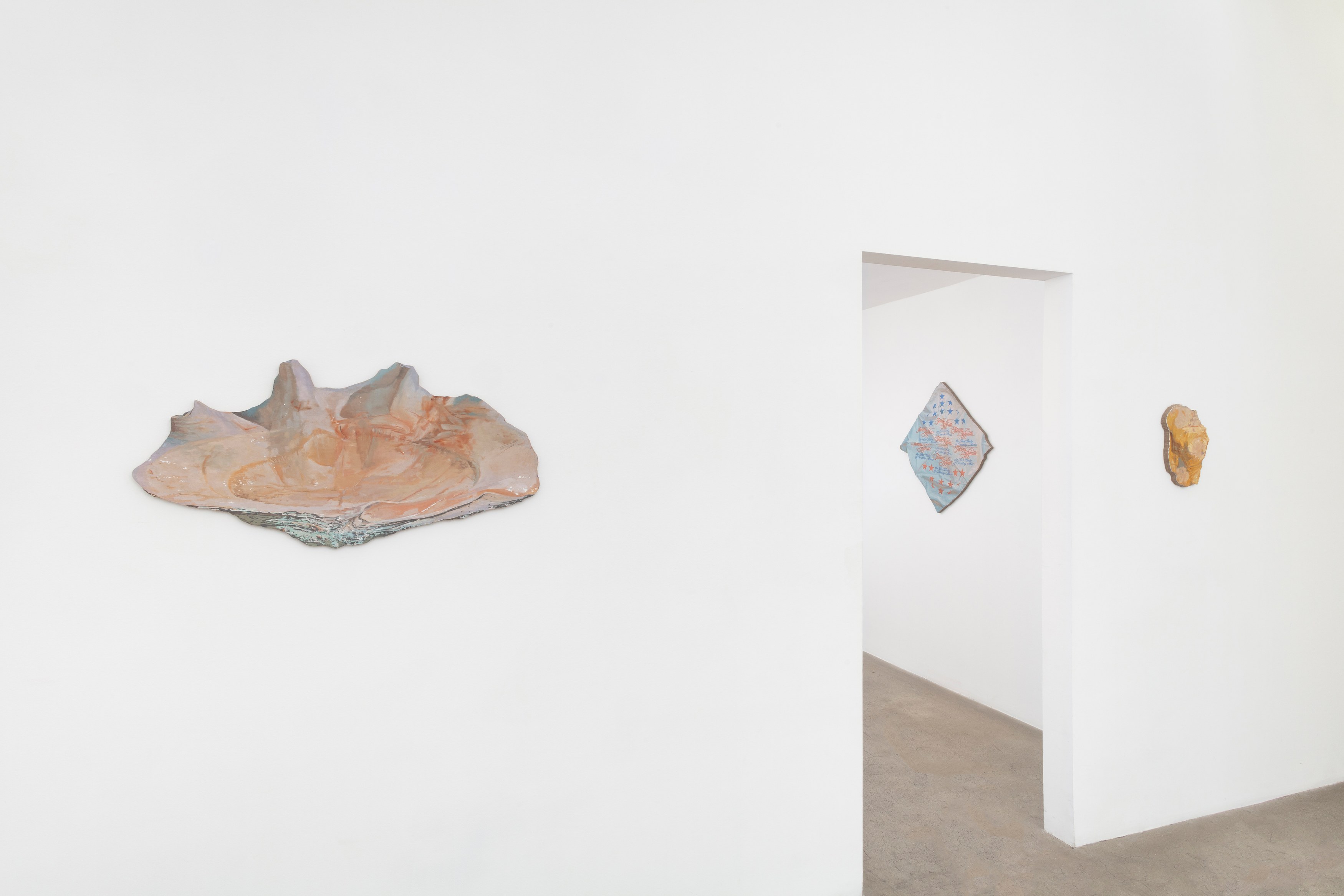 Michael Lombardo, Pearl Snap at NOON Projects, photo 21