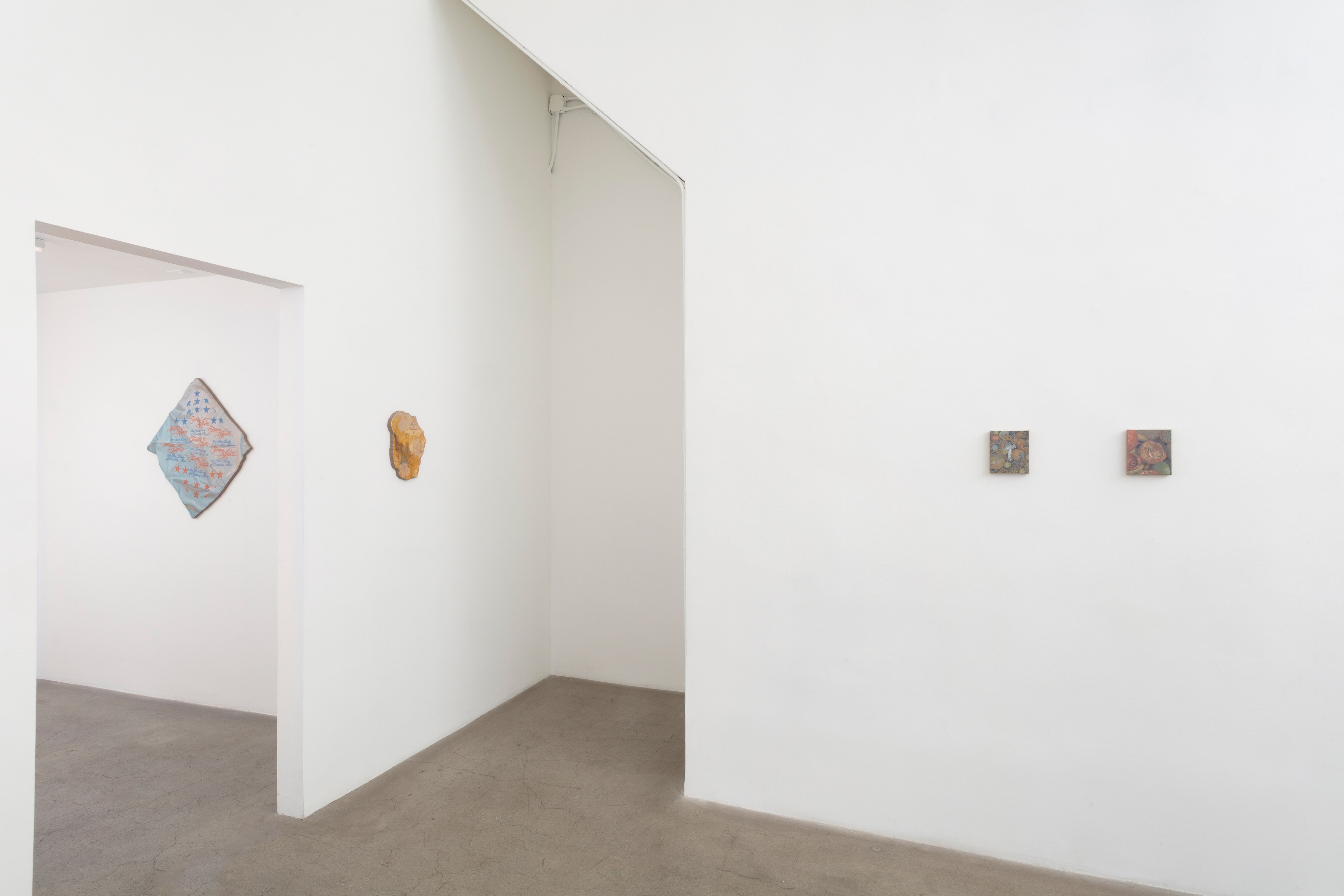 Michael Lombardo, Pearl Snap at NOON Projects, photo 22