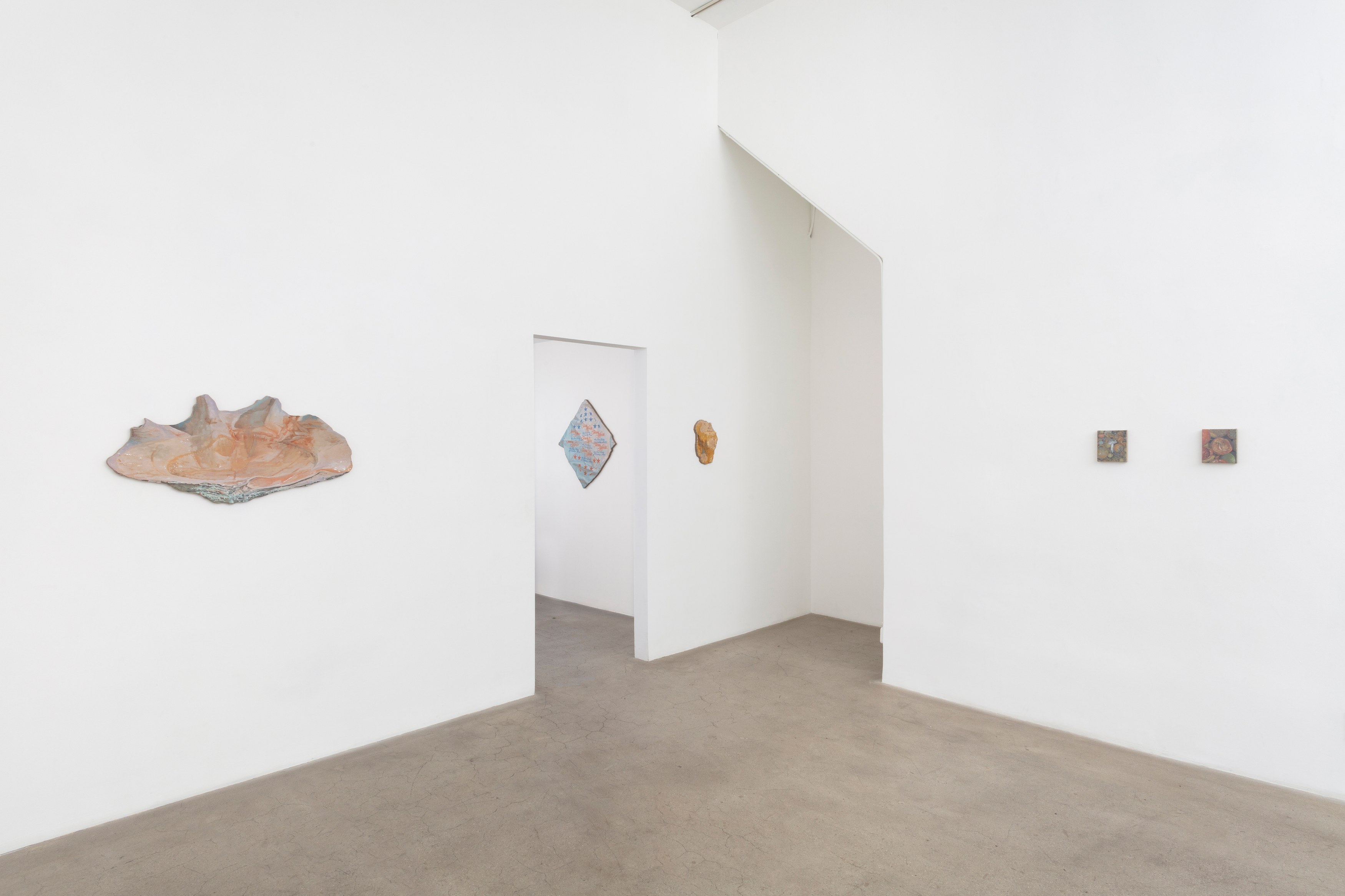 Michael Lombardo, Pearl Snap at NOON Projects, photo 23