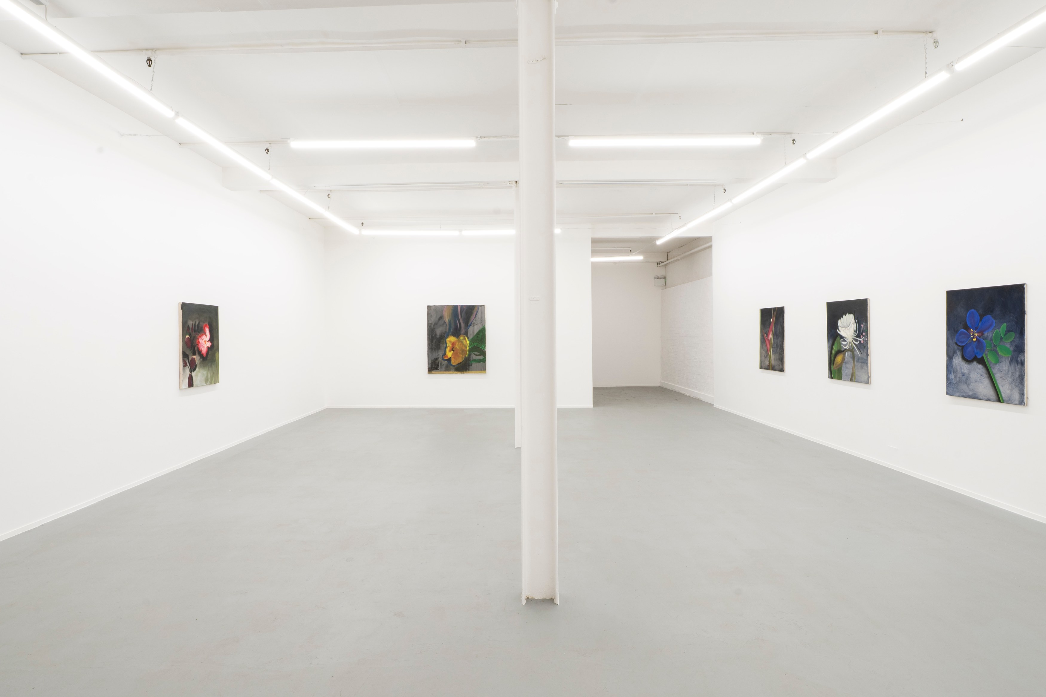 Ruby Dickson, Rarity Is Commoner Than You Think at Project Loop, photo 2