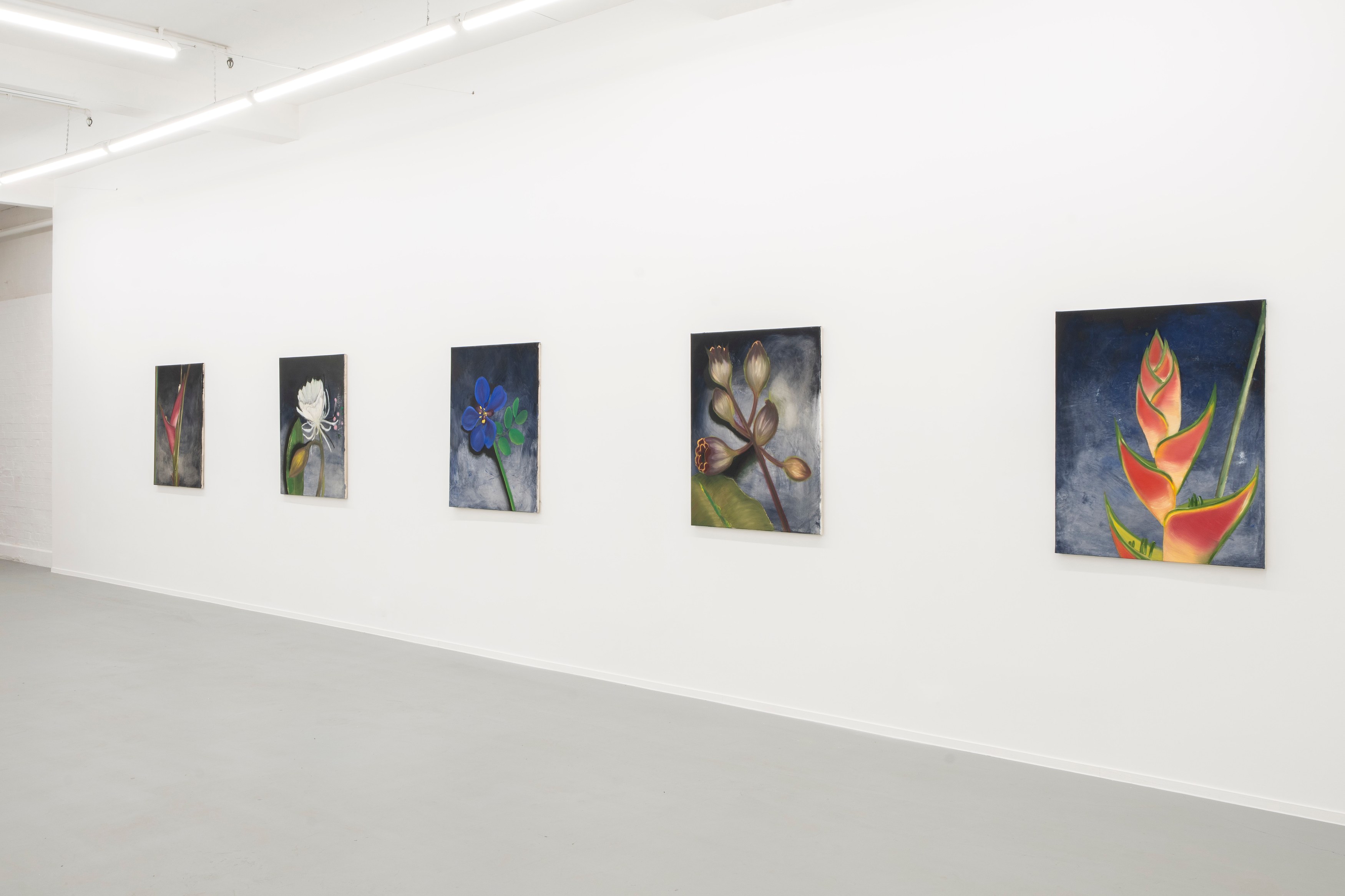 Ruby Dickson, Rarity Is Commoner Than You Think at Project Loop, photo 4