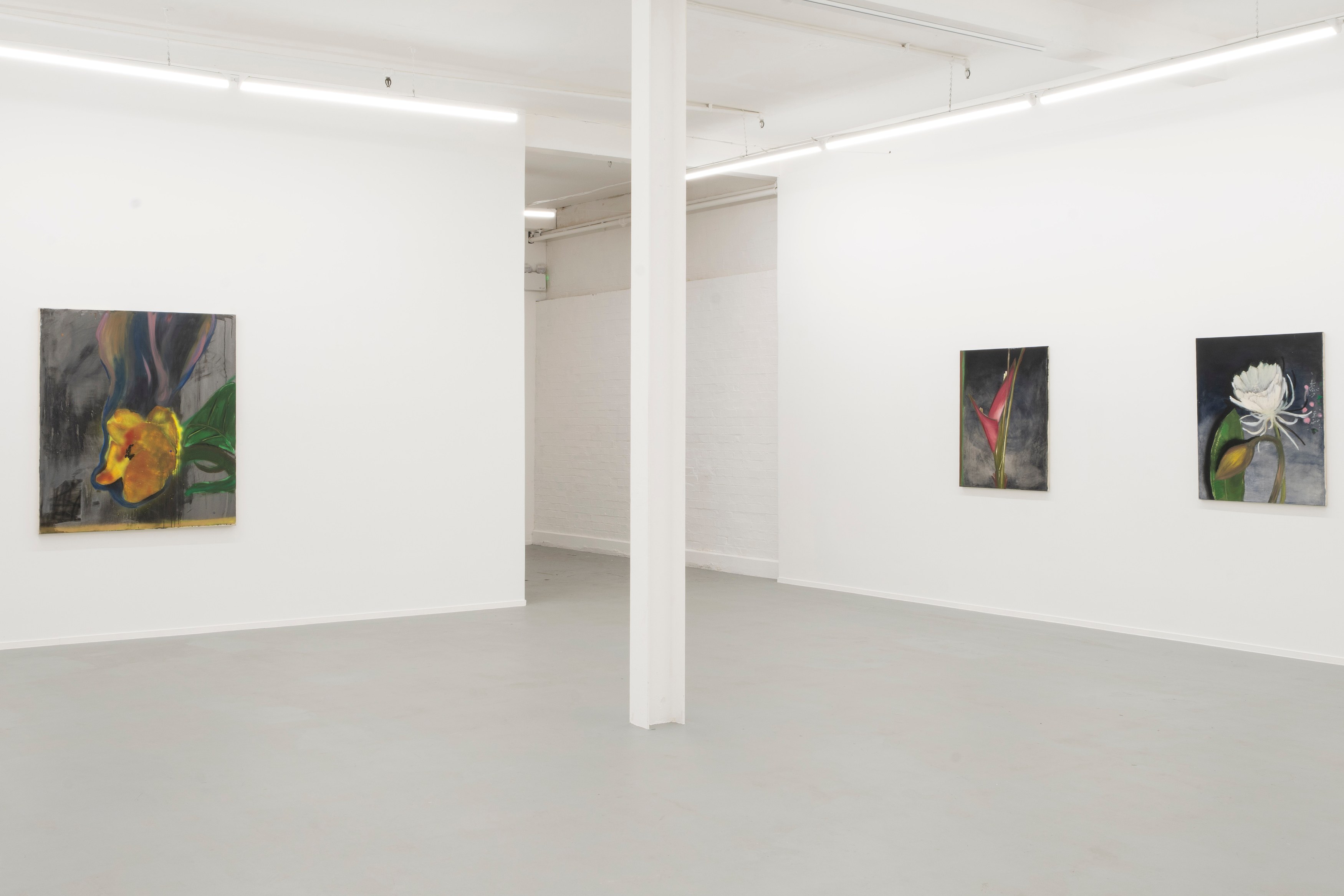 Ruby Dickson, Rarity Is Commoner Than You Think at Project Loop, photo 6
