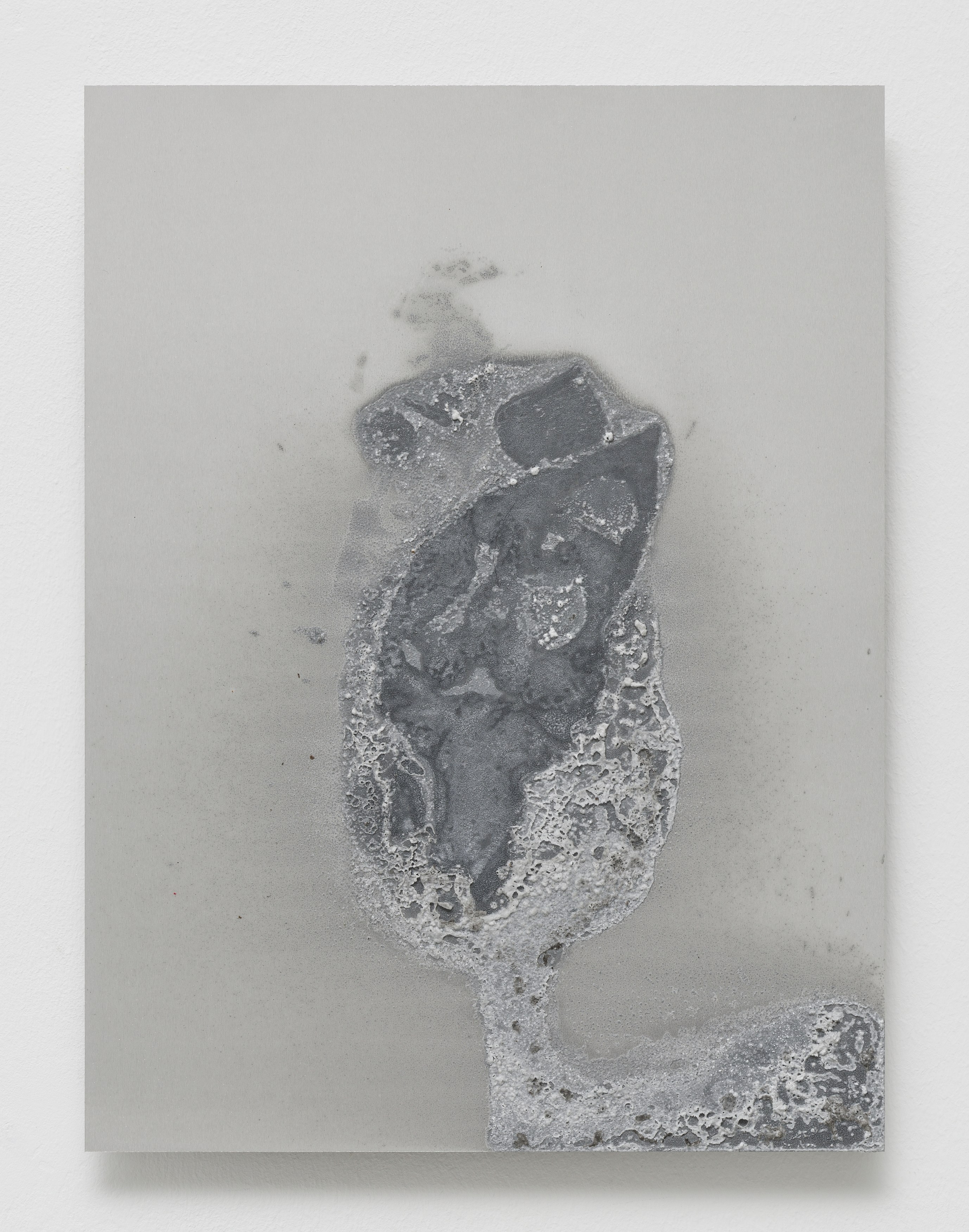 Felix Kiessling, Zucker at alexander levy, Berlin and LEVY Galerie, Berlin, photo 13
