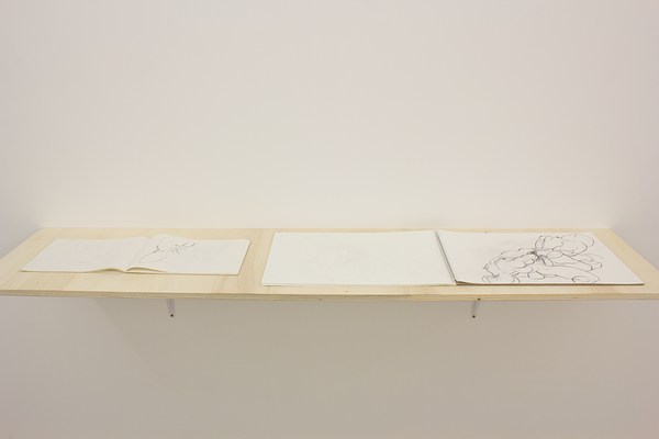 Image 6 of 19