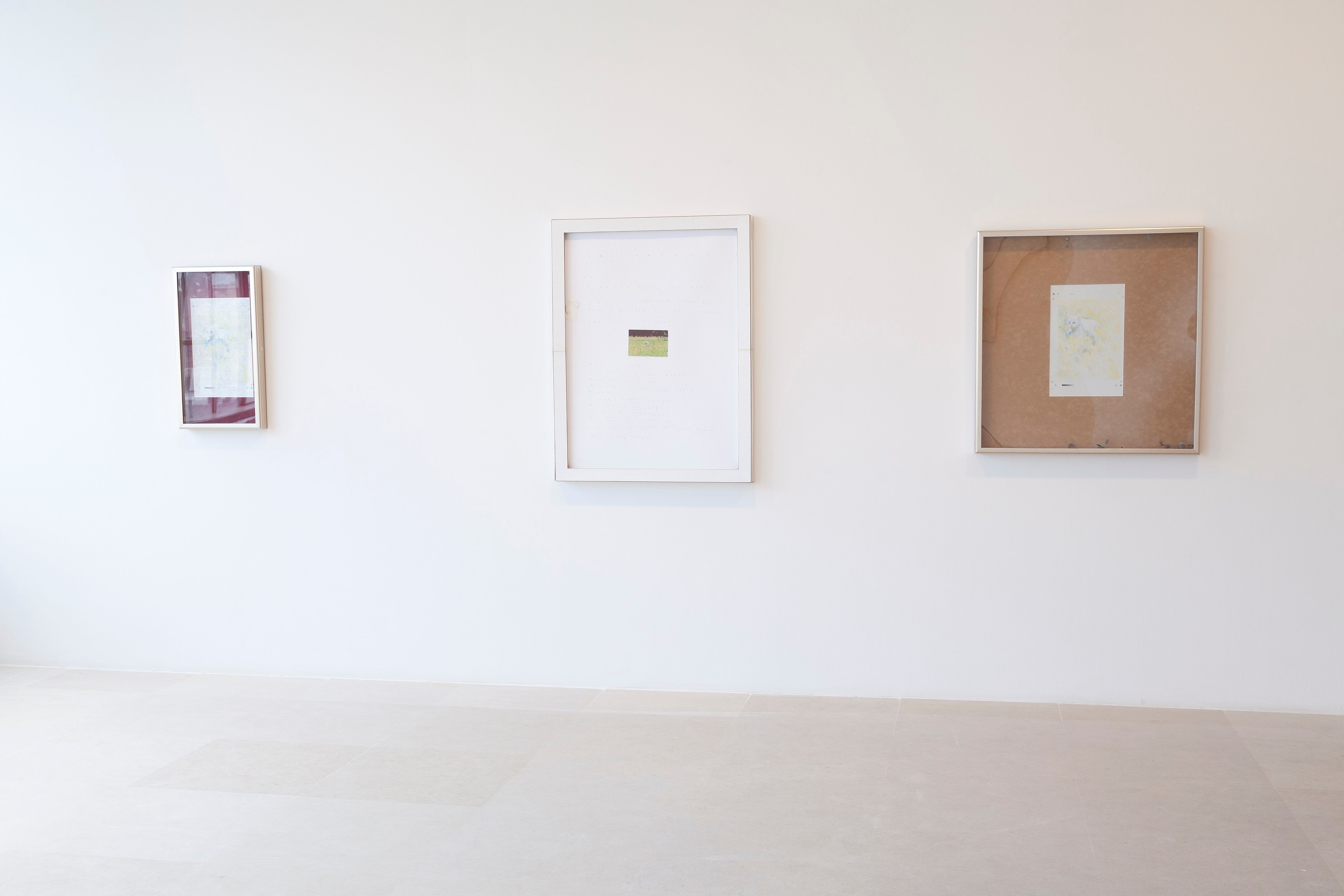 Group Show, Group Show at Greene Naftali, photo 6