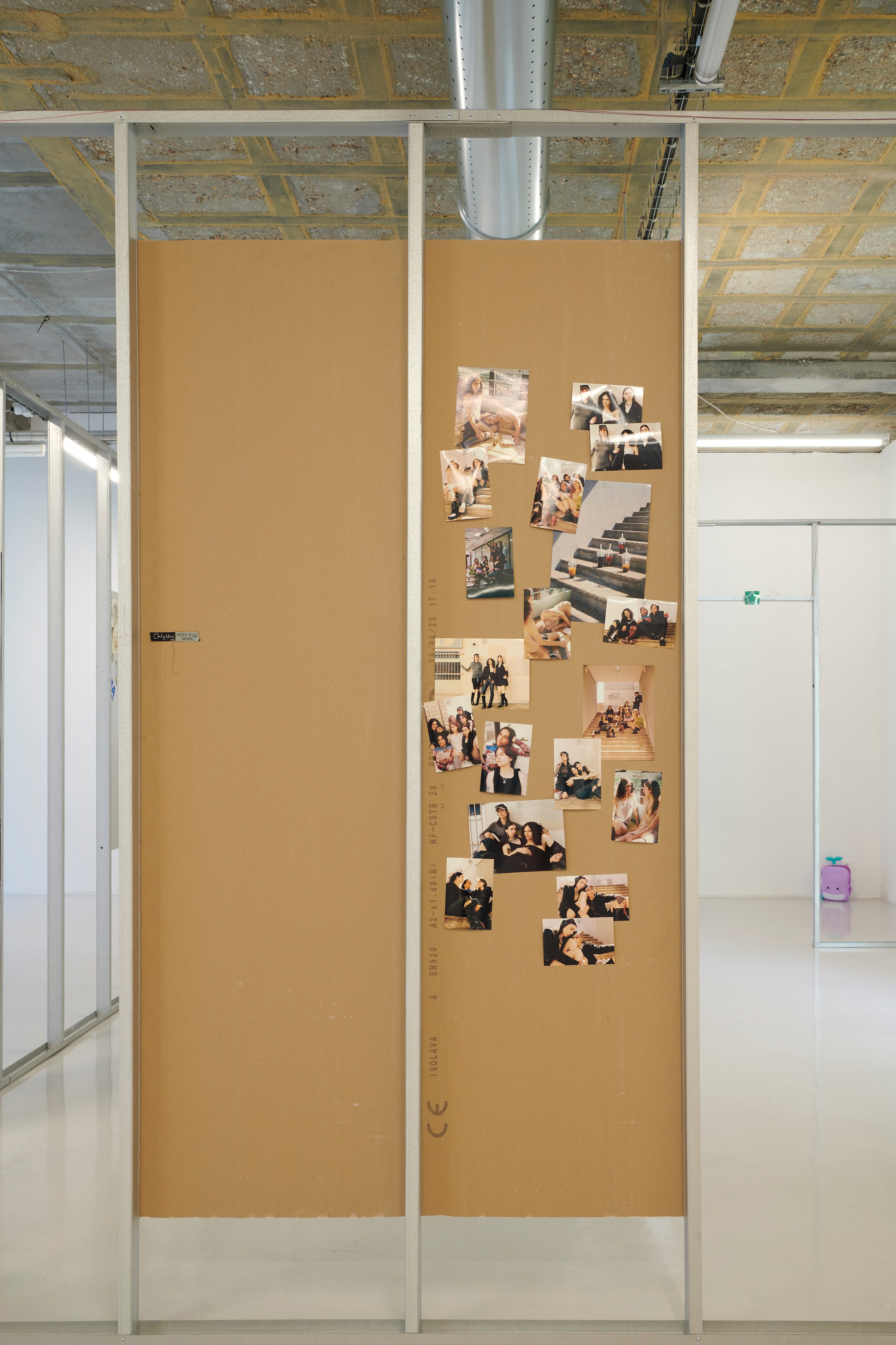 Mona Filleul, Air De Tranny at Air de Paris, photo 26