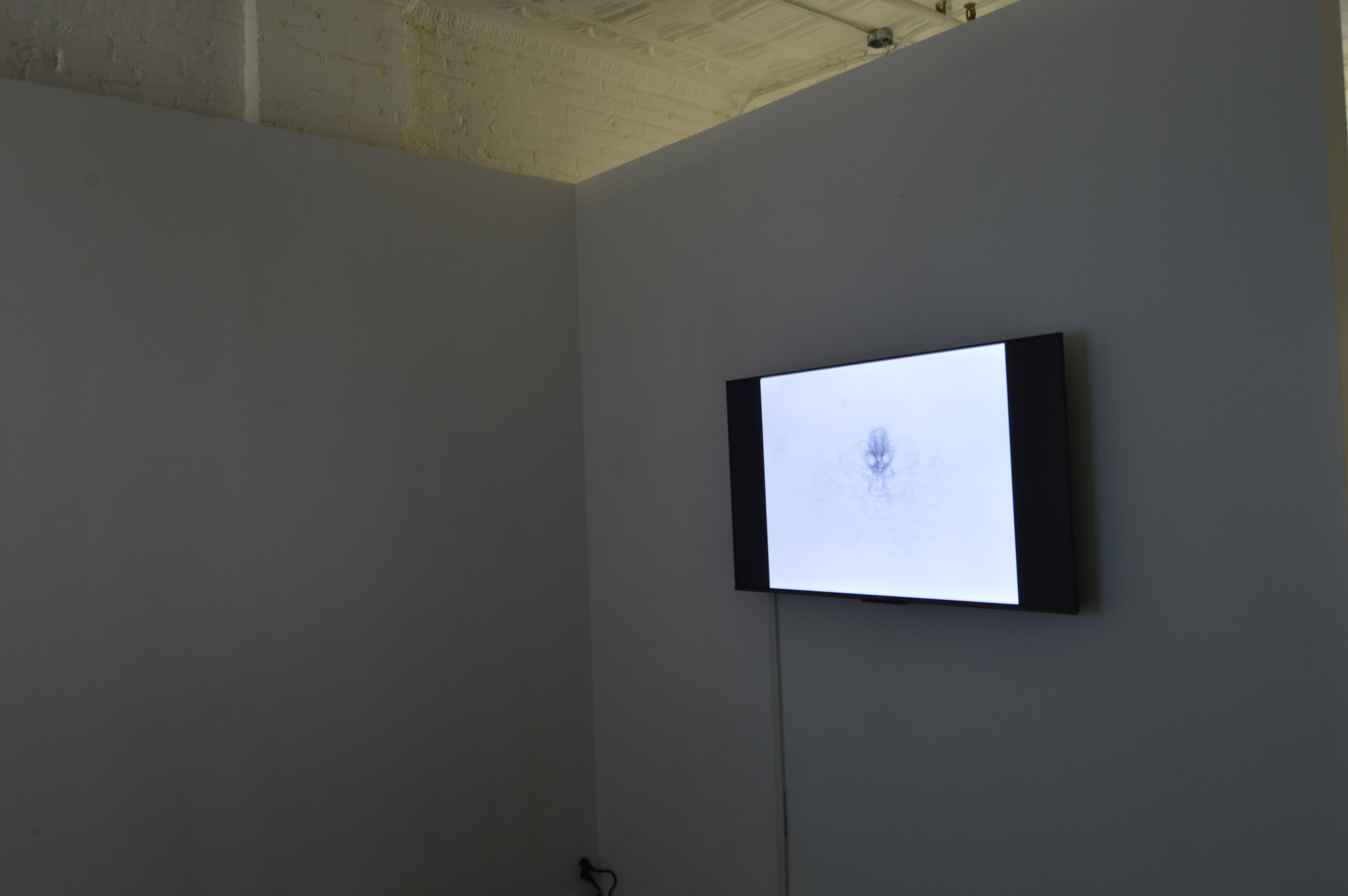 Elliott Jamal Robbins, Feats of Strength at Kai Matsumiya, photo 15