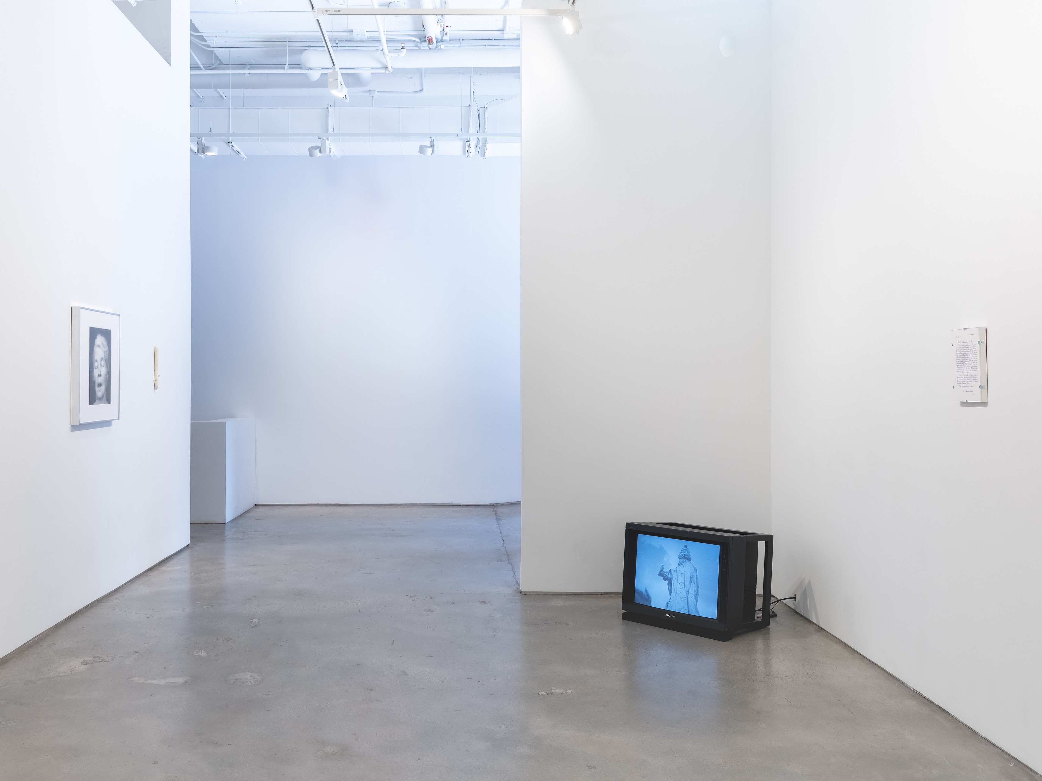 On Blindness, On Blindness at Nara Roesler, photo 3