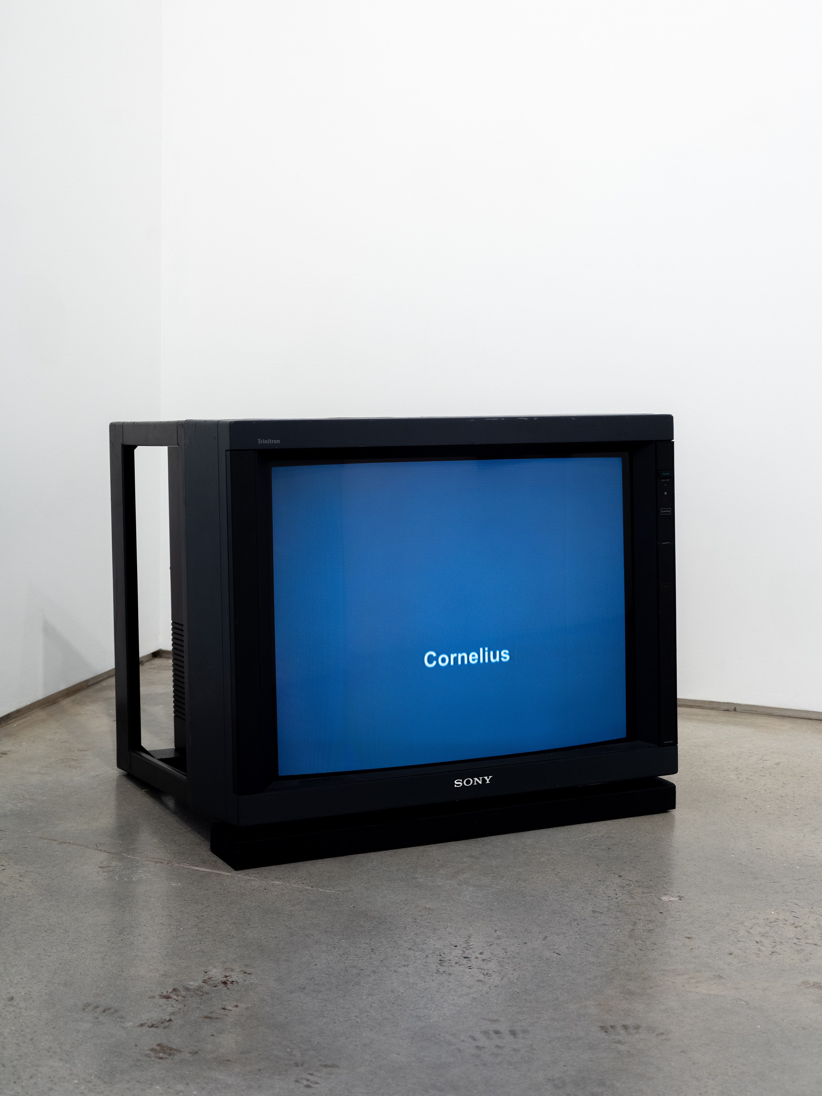 On Blindness, On Blindness at Nara Roesler, photo 24