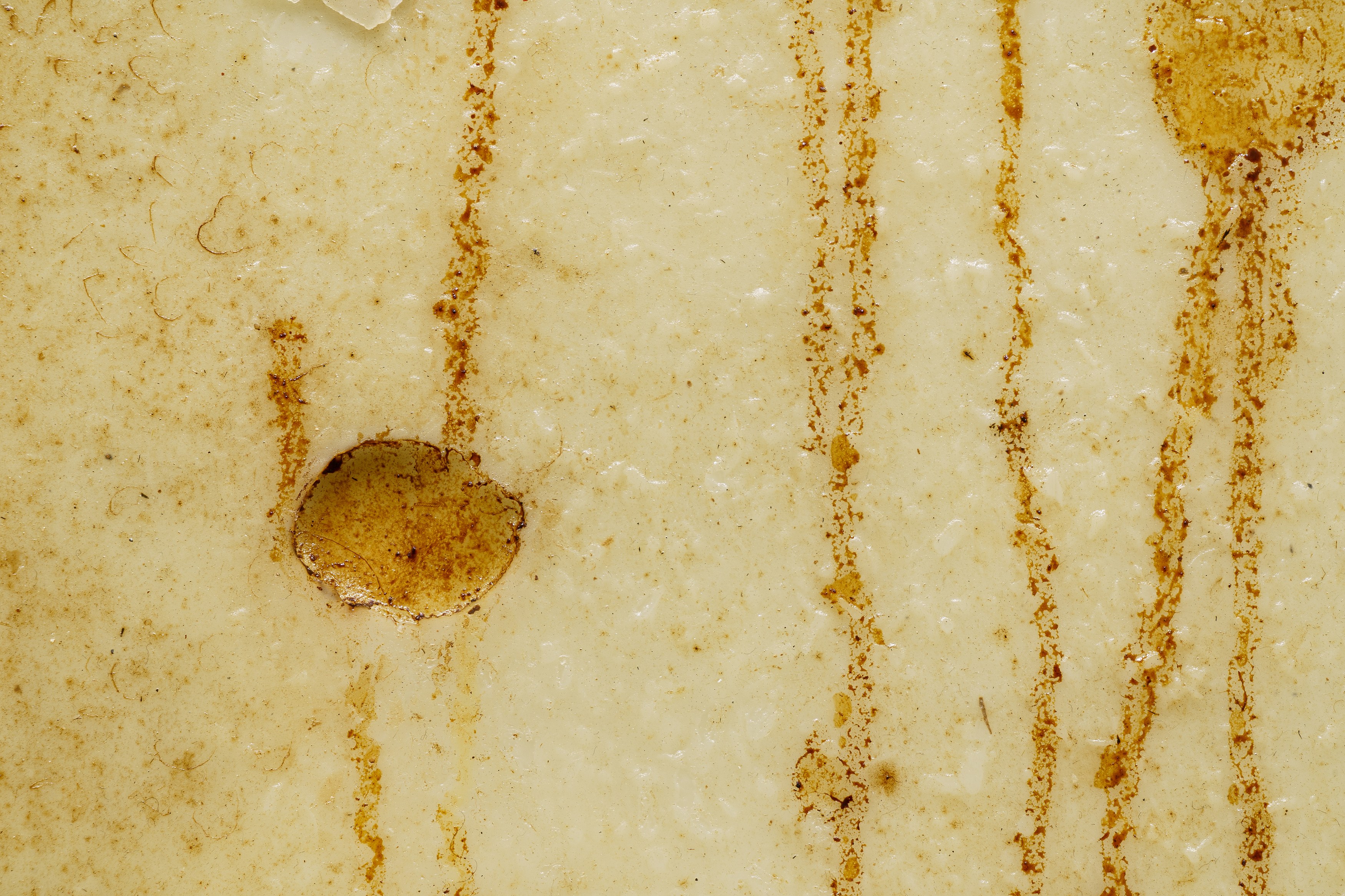 On Blindness, On Blindness at Nara Roesler, photo 40