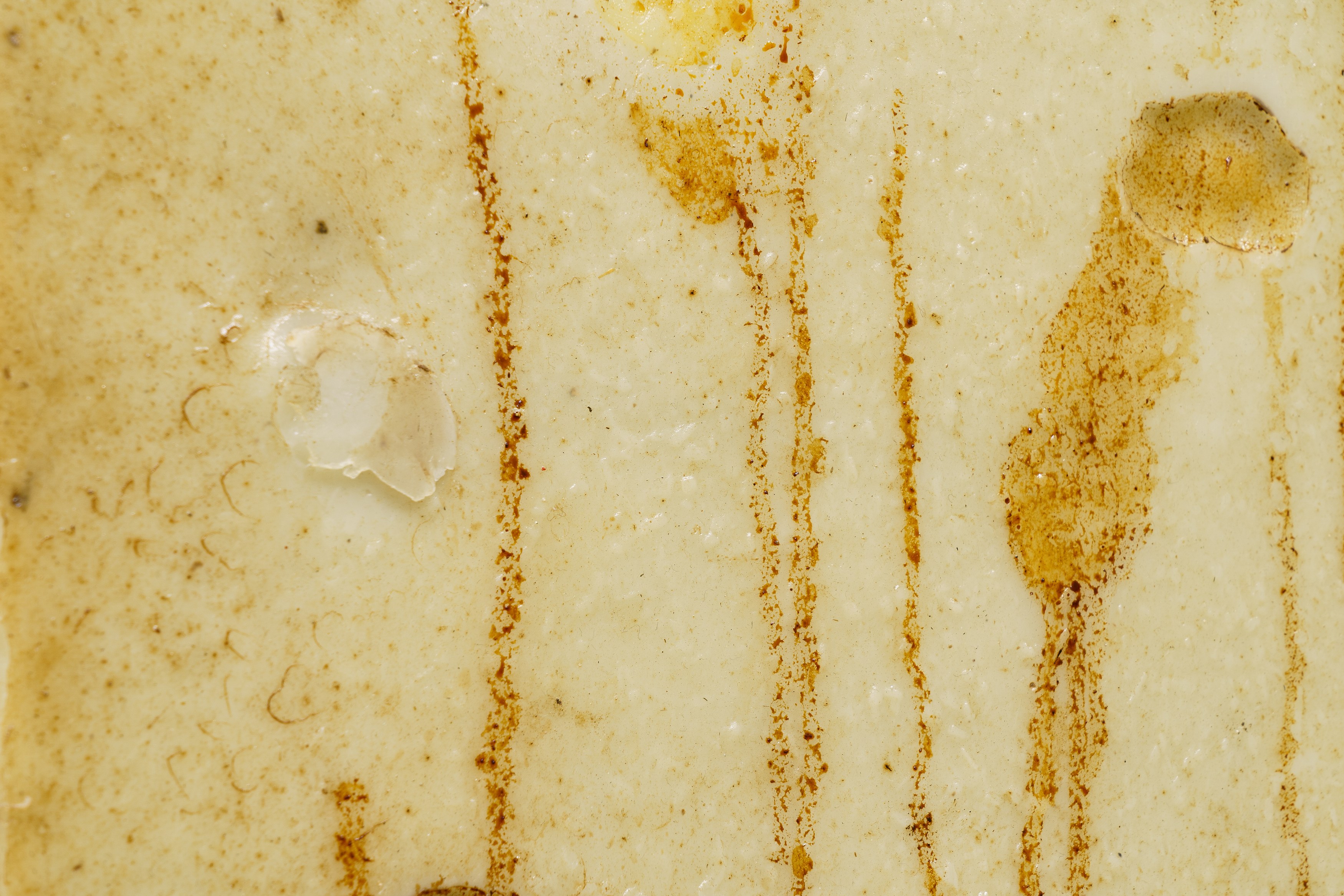 On Blindness, On Blindness at Nara Roesler, photo 41