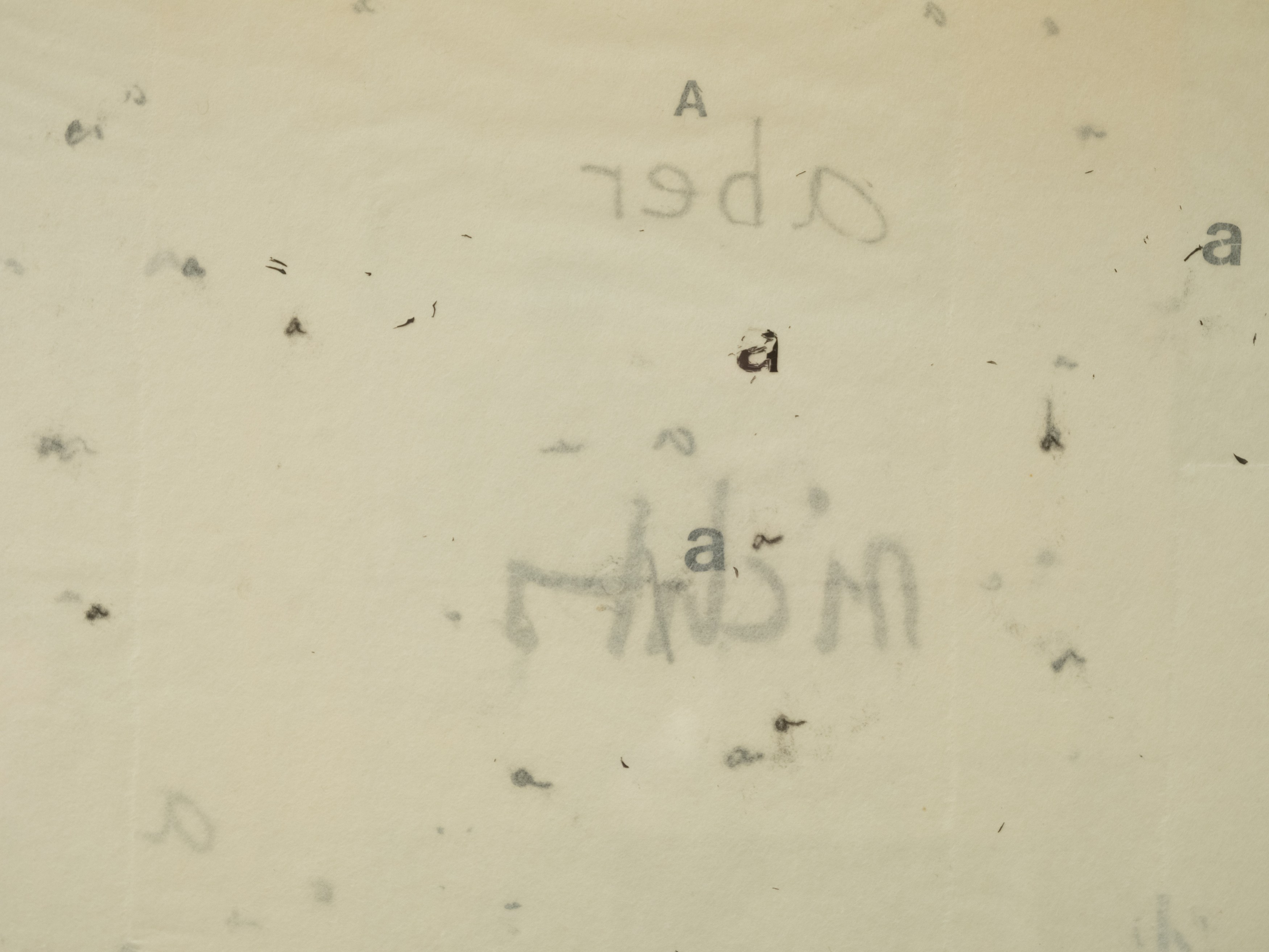 On Blindness, On Blindness at Nara Roesler, photo 62