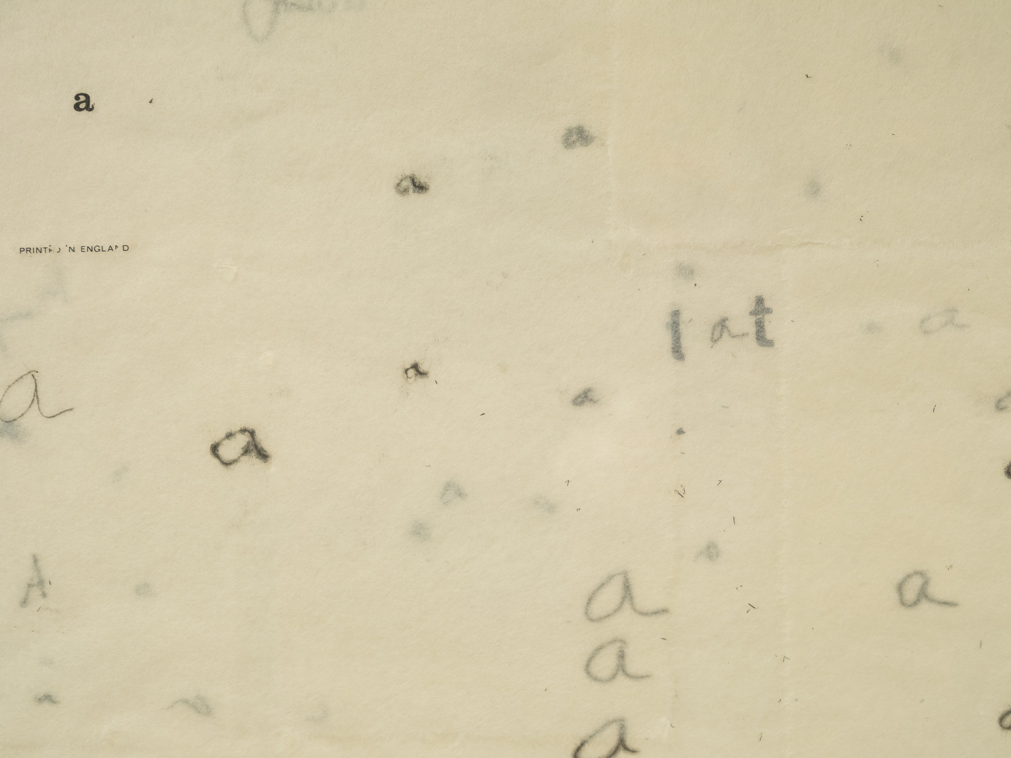 On Blindness, On Blindness at Nara Roesler, photo 63