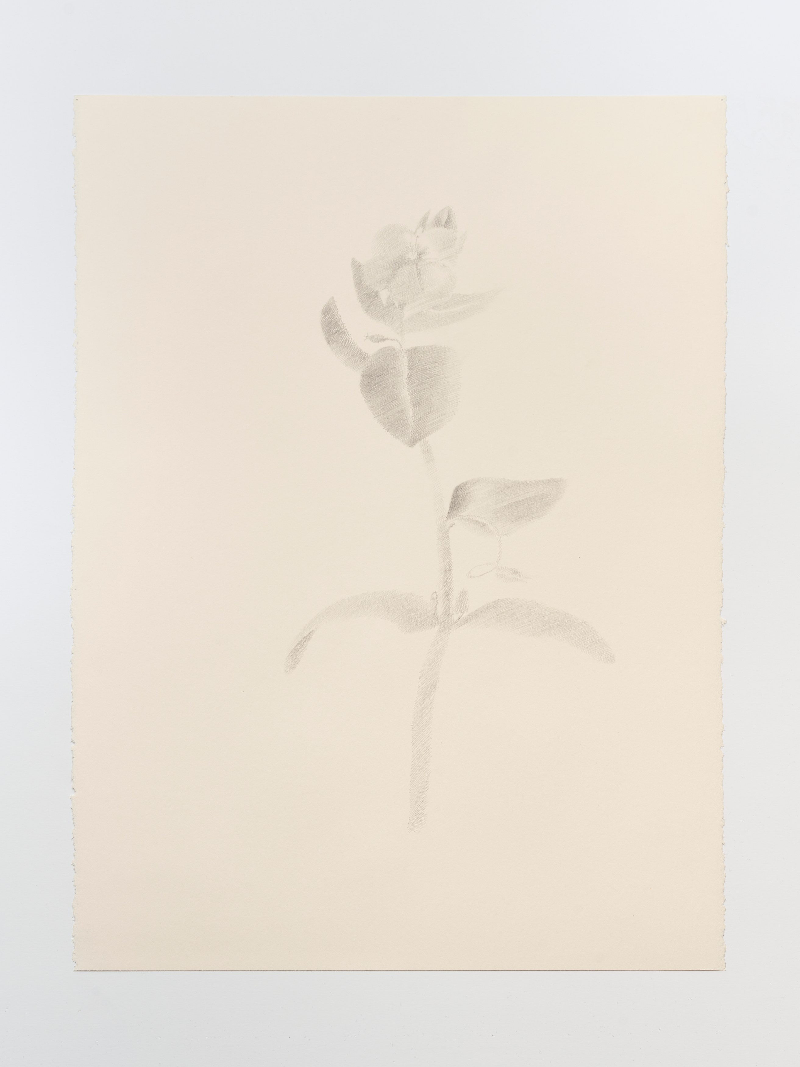 On Blindness, On Blindness at Nara Roesler, photo 71