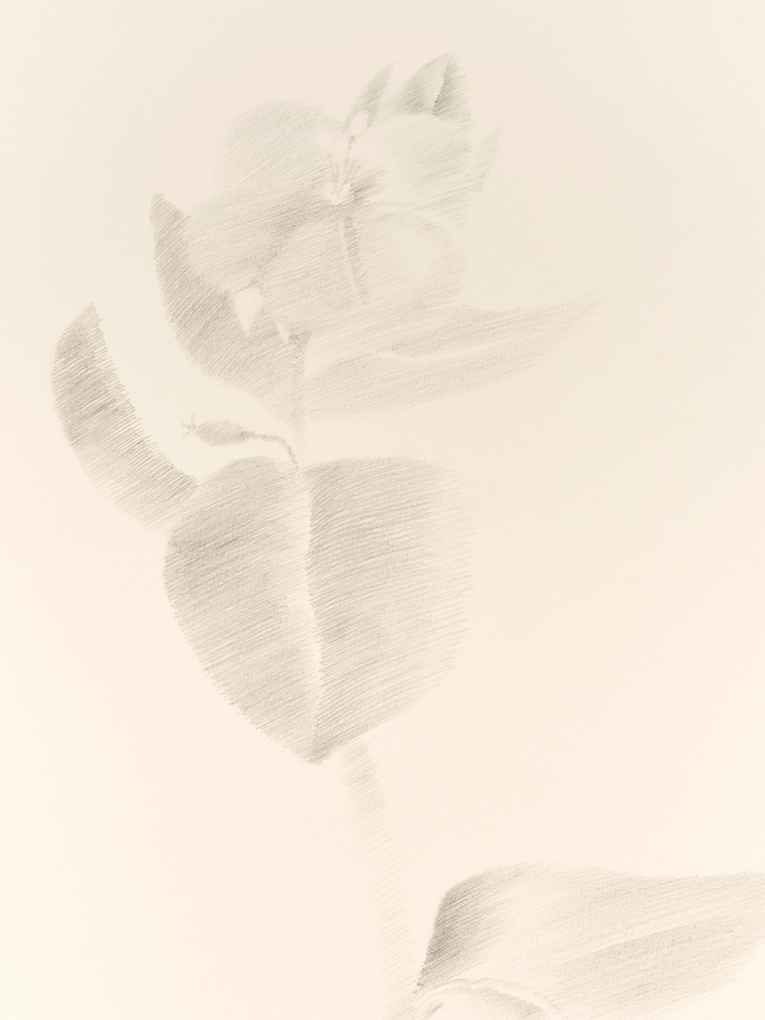 On Blindness, On Blindness at Nara Roesler, photo 72