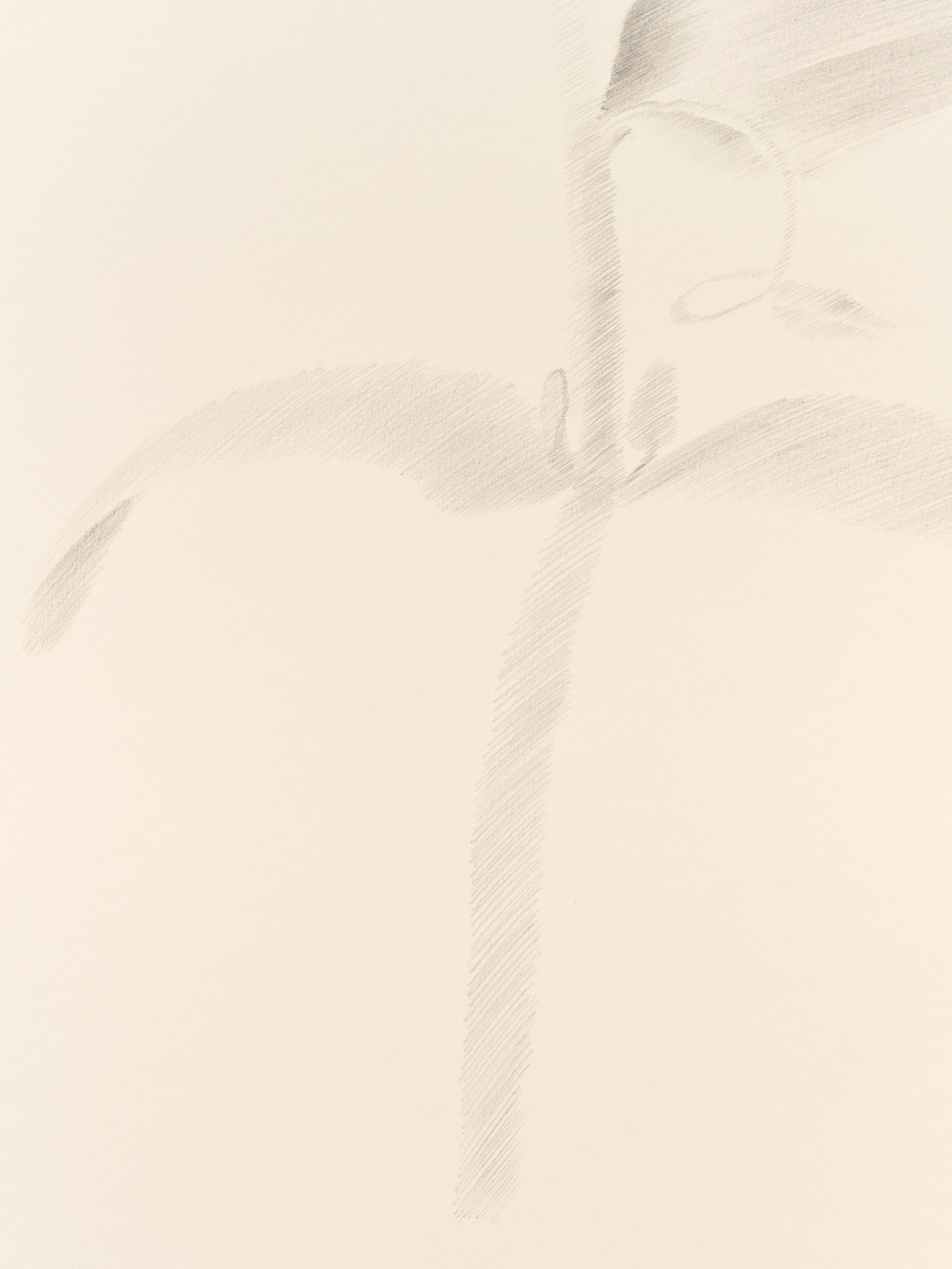 On Blindness, On Blindness at Nara Roesler, photo 73