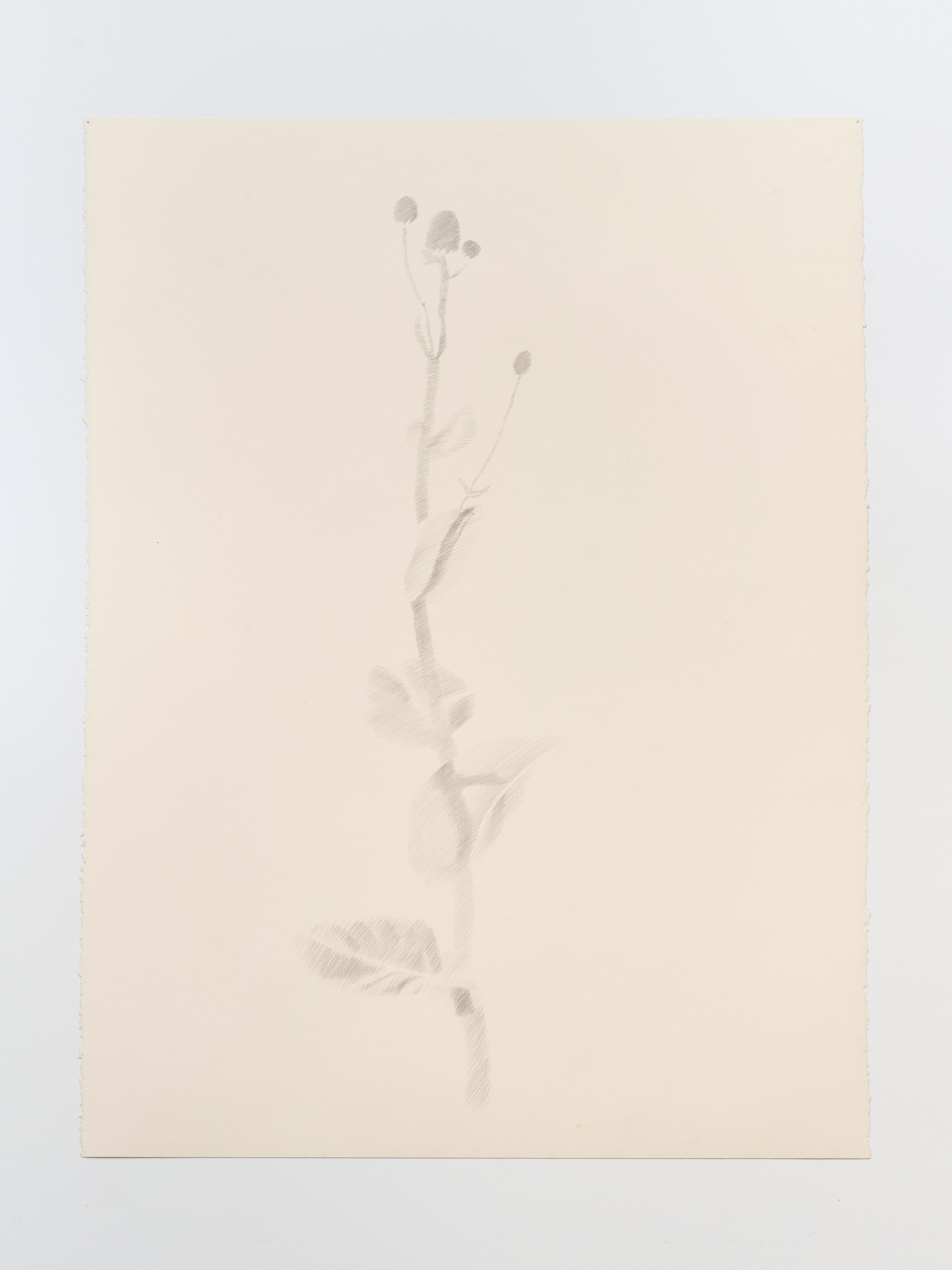 On Blindness, On Blindness at Nara Roesler, photo 74