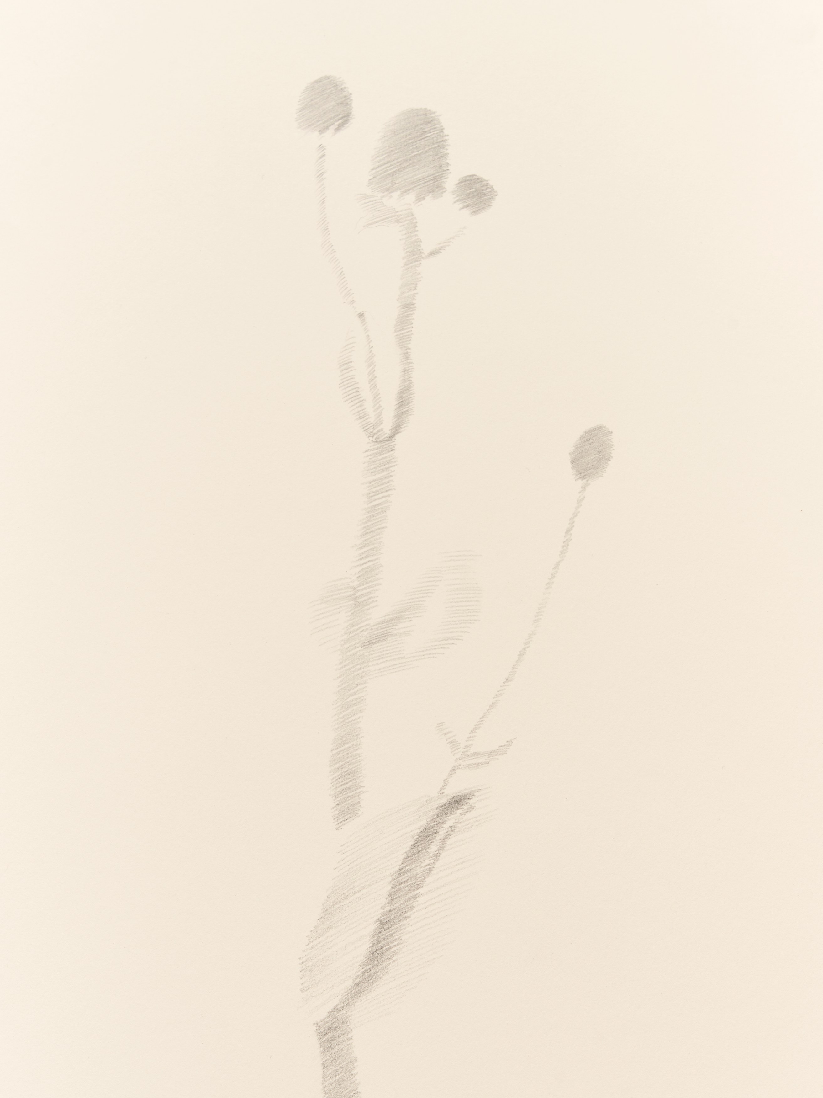 On Blindness, On Blindness at Nara Roesler, photo 76