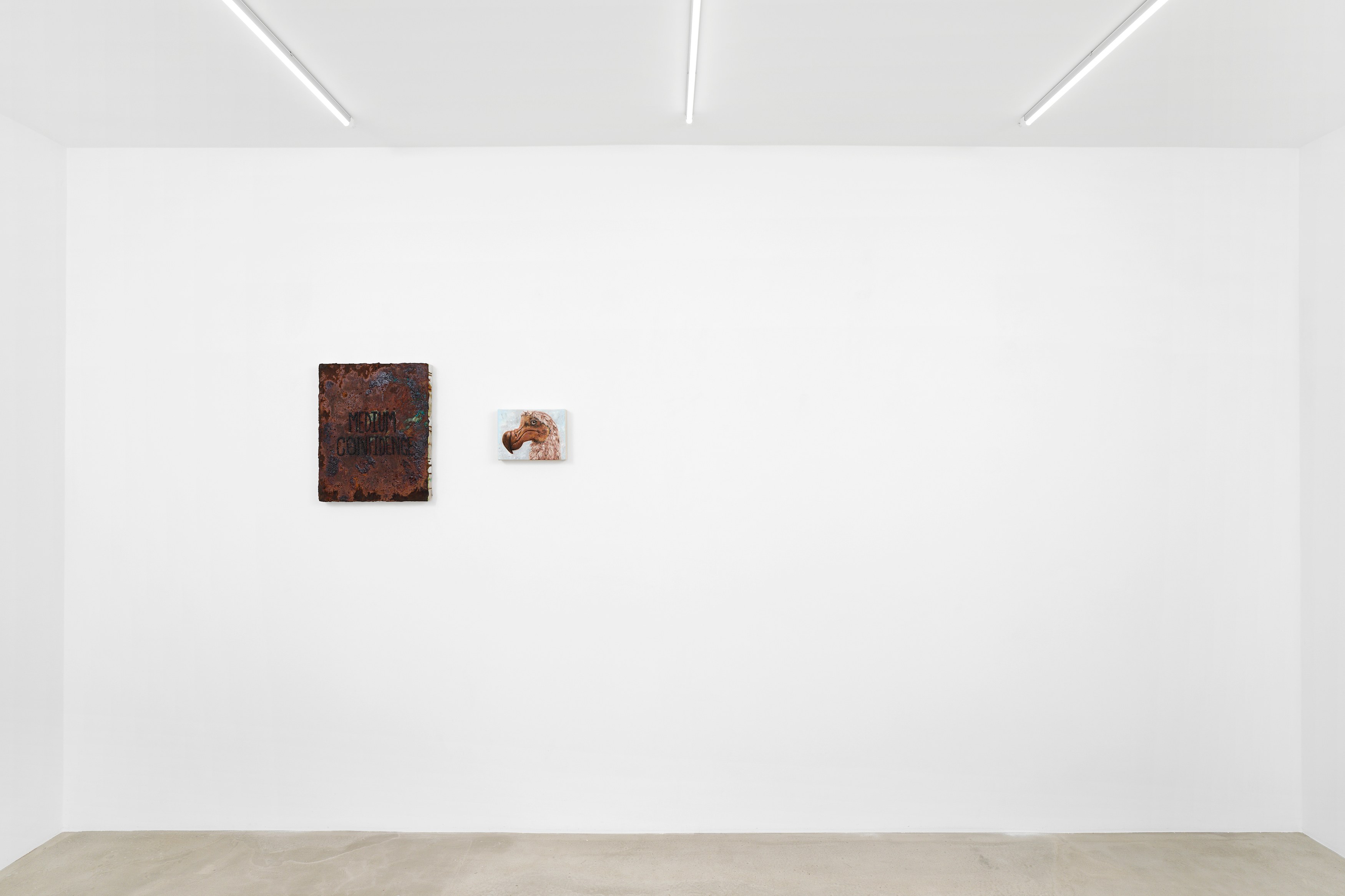 Tanja Nis-Hansen, To run as fast as a human at Galerie Sans titre at Independent, New York 2023, photo 12