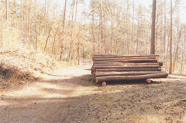 Image 15 of 18