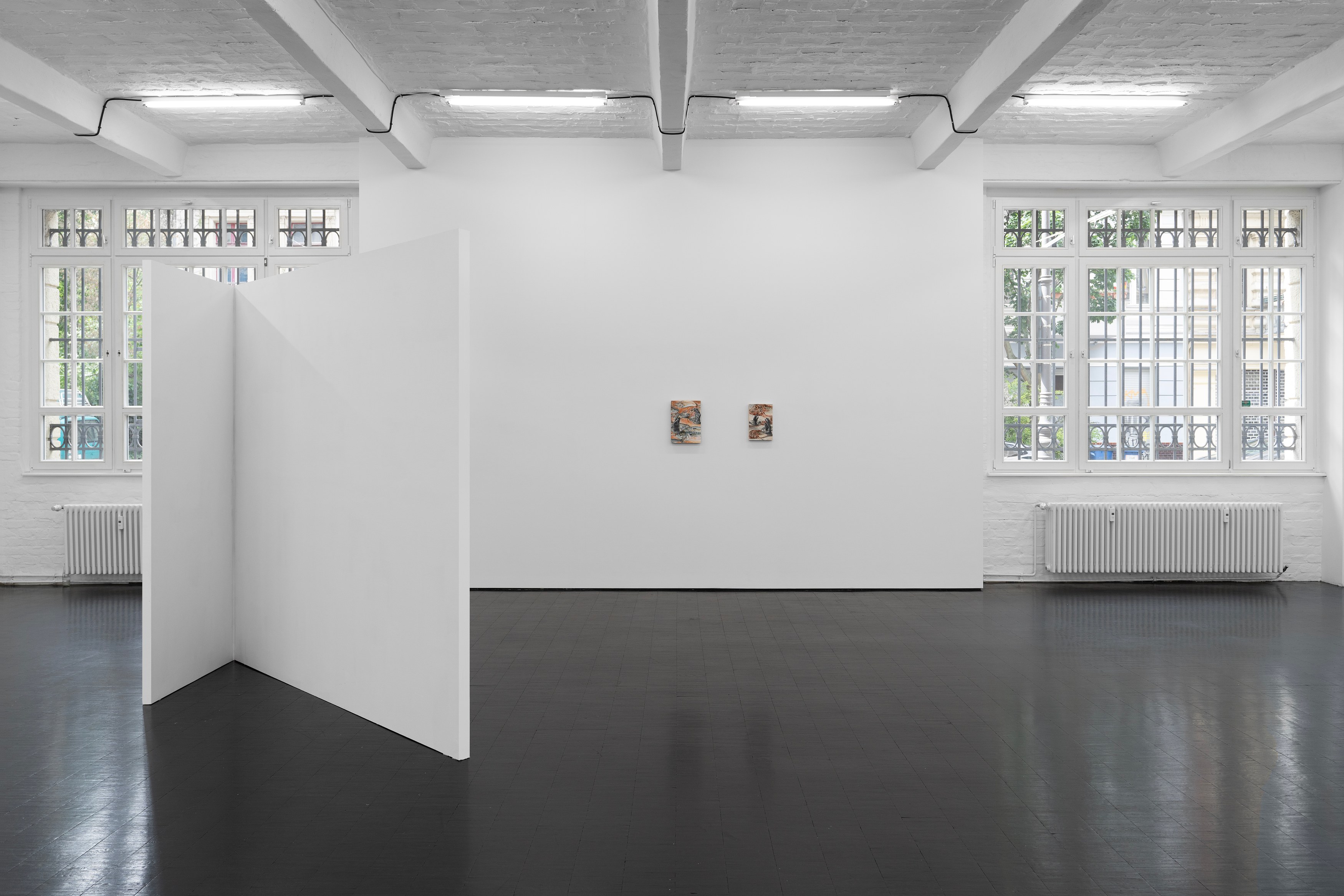 Jannis Marwitz, The Directionality of Fur at Trautwein Herleth, photo 2