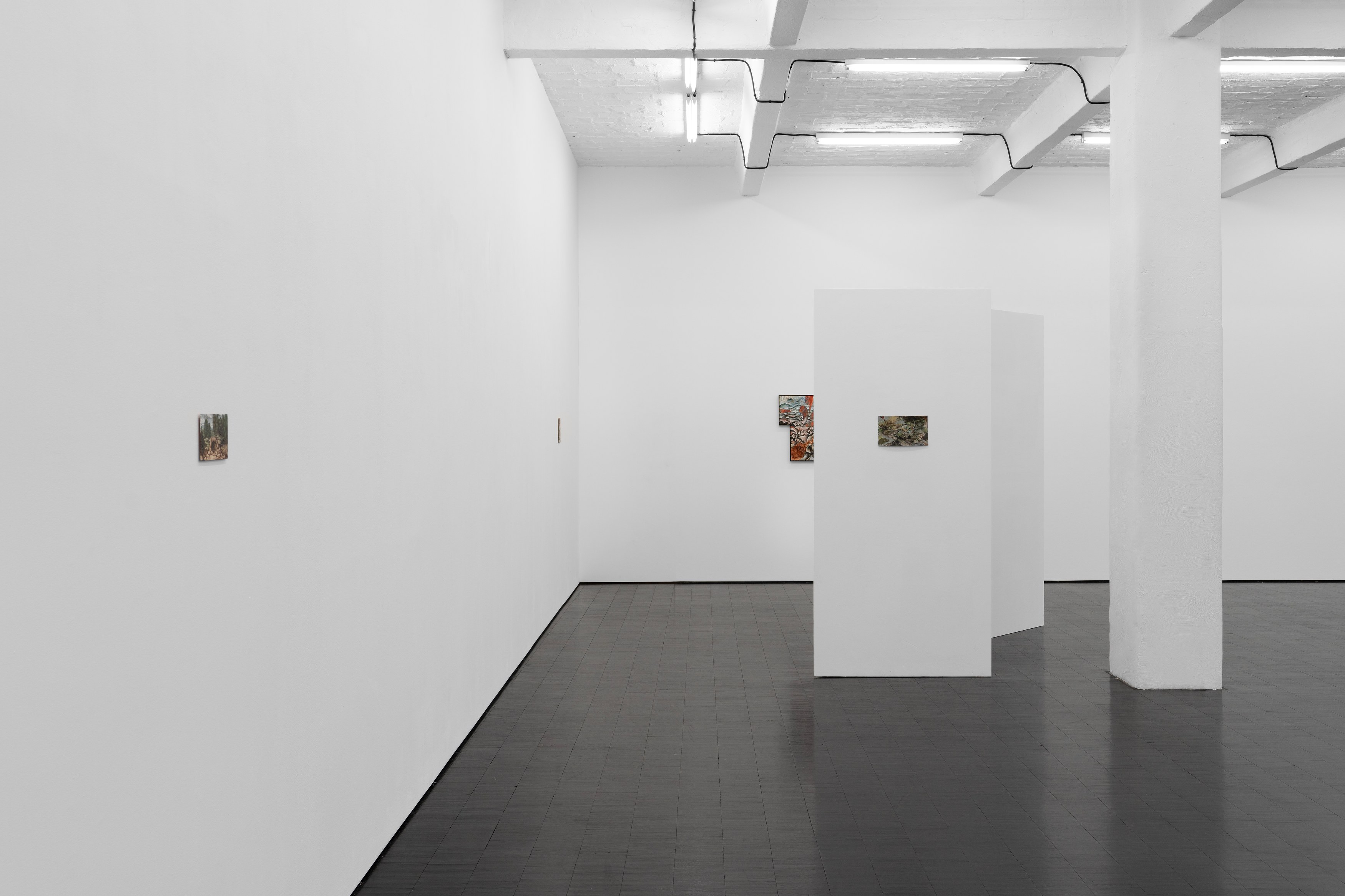Jannis Marwitz, The Directionality of Fur at Trautwein Herleth, photo 6