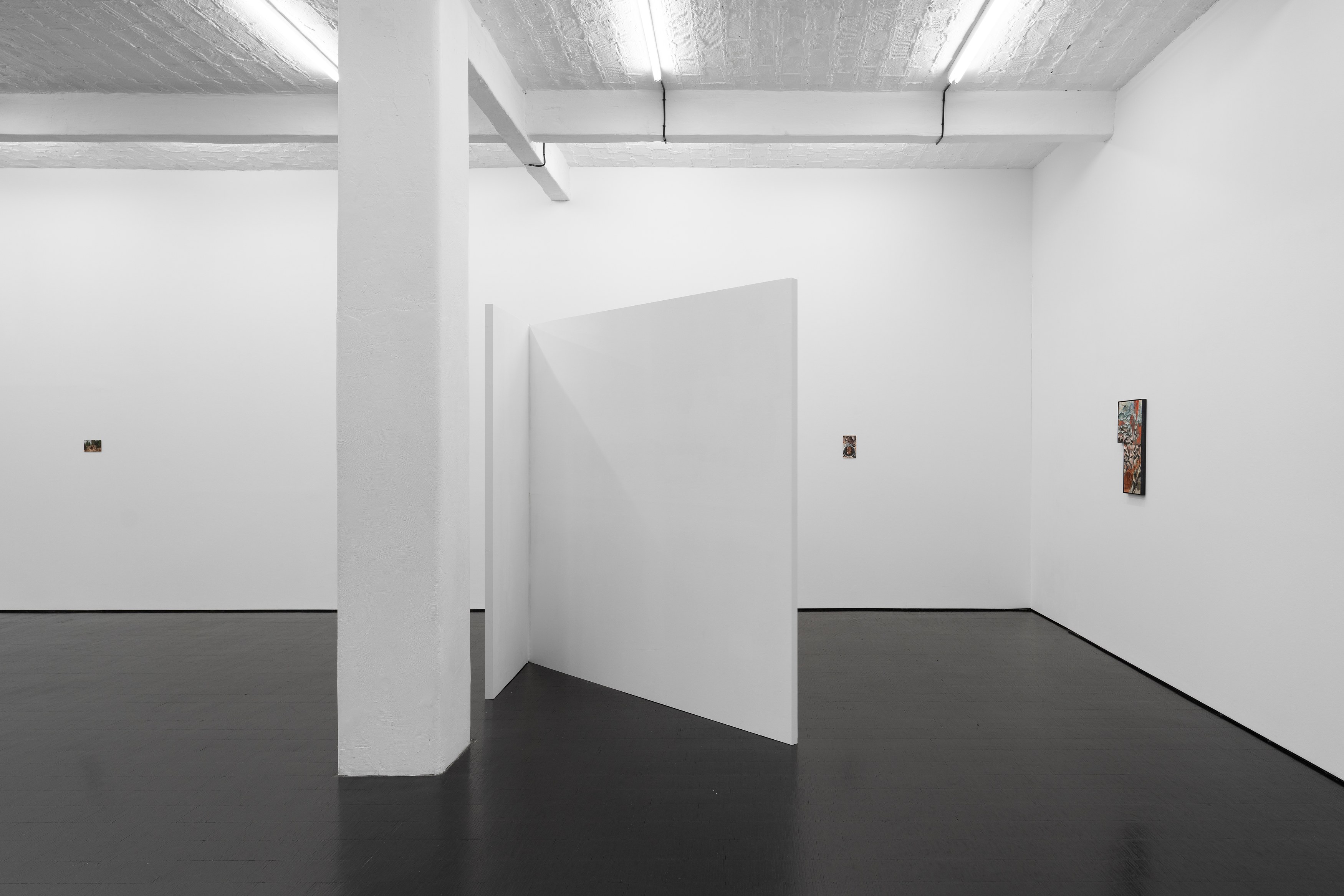 Jannis Marwitz, The Directionality of Fur at Trautwein Herleth, photo 8