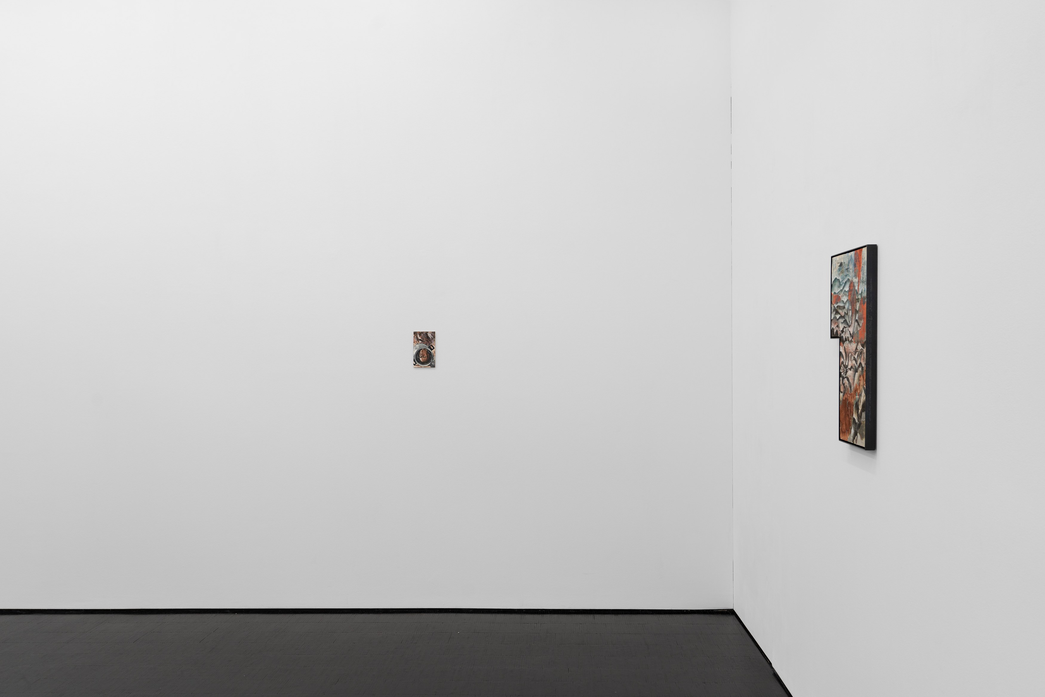 Jannis Marwitz, The Directionality of Fur at Trautwein Herleth, photo 7