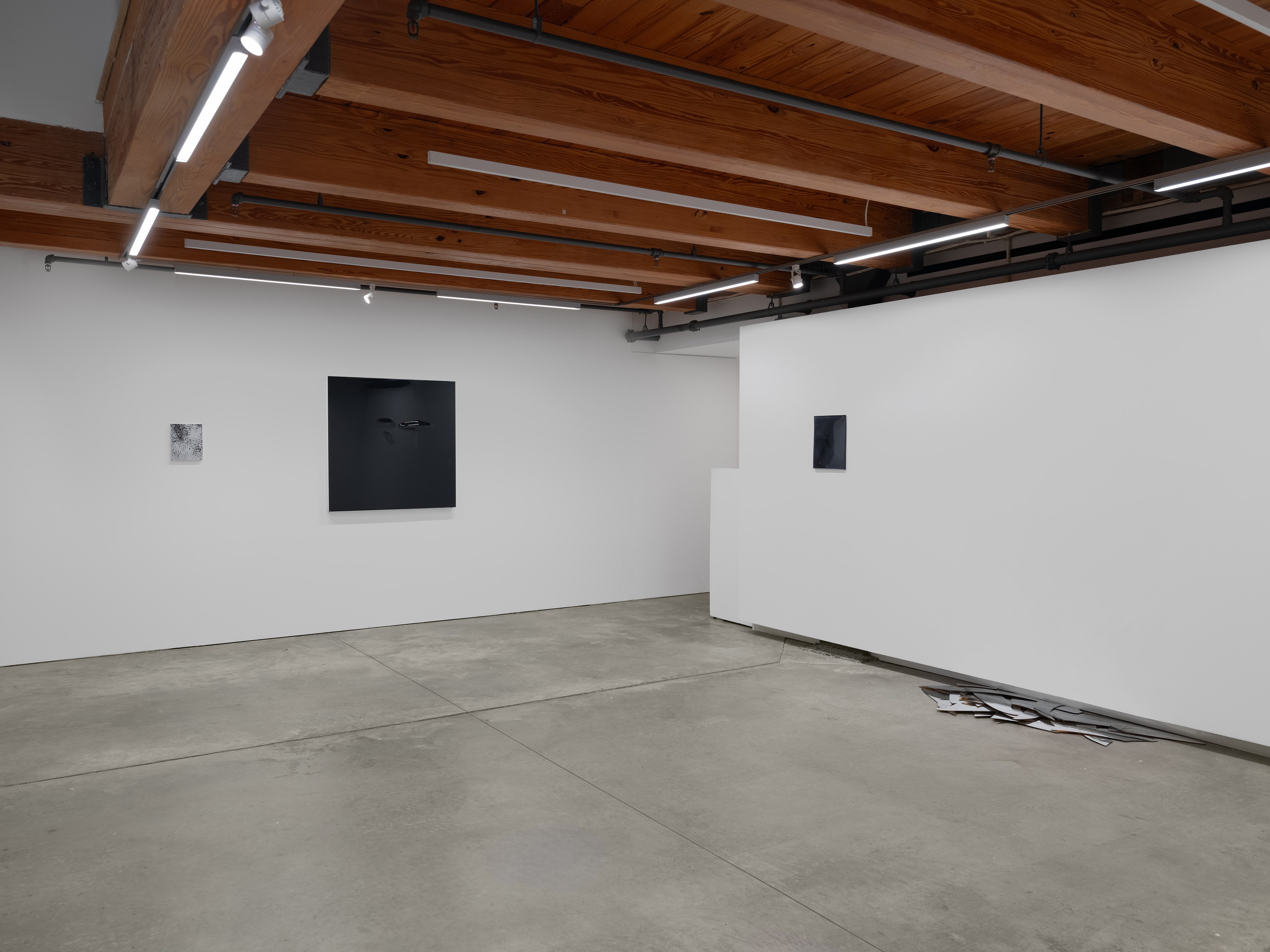 Carrie Yamaoka, See-saw at anonymous gallery, photo 3