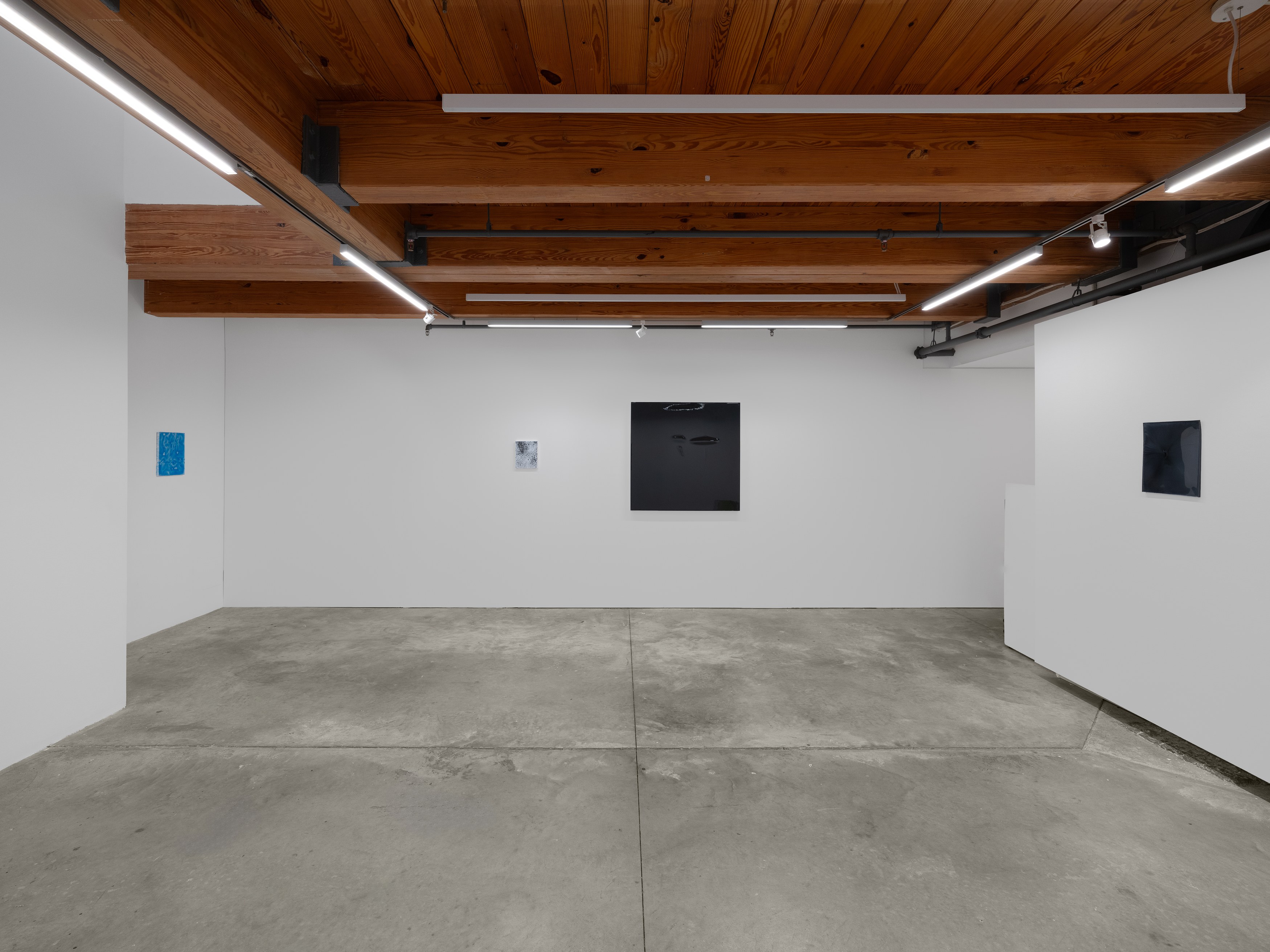 Carrie Yamaoka, See-saw at anonymous gallery, photo 7
