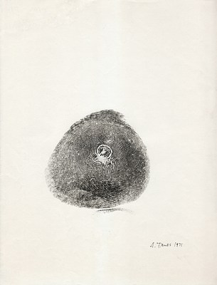 Image 12 of 22