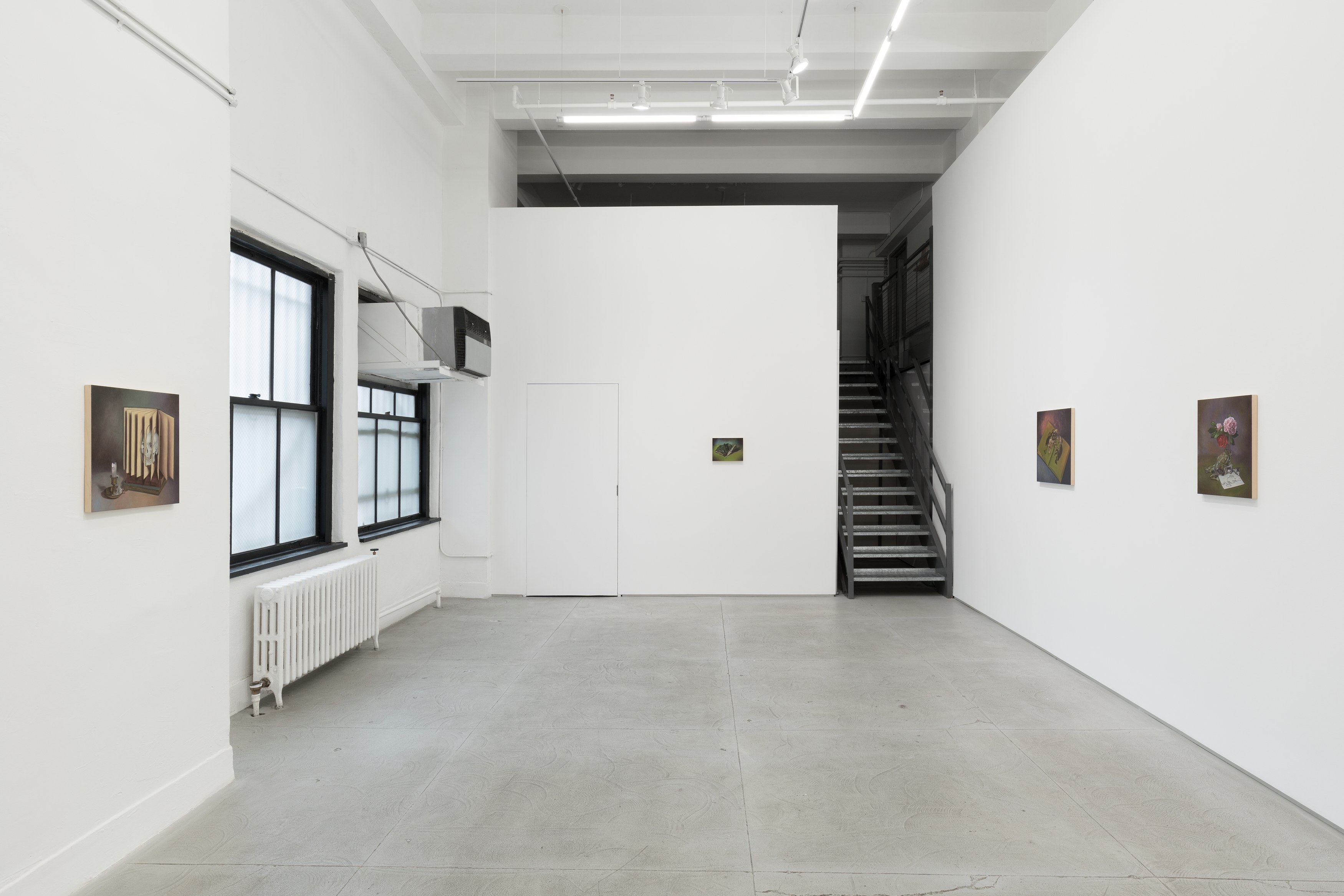 Installation view 2