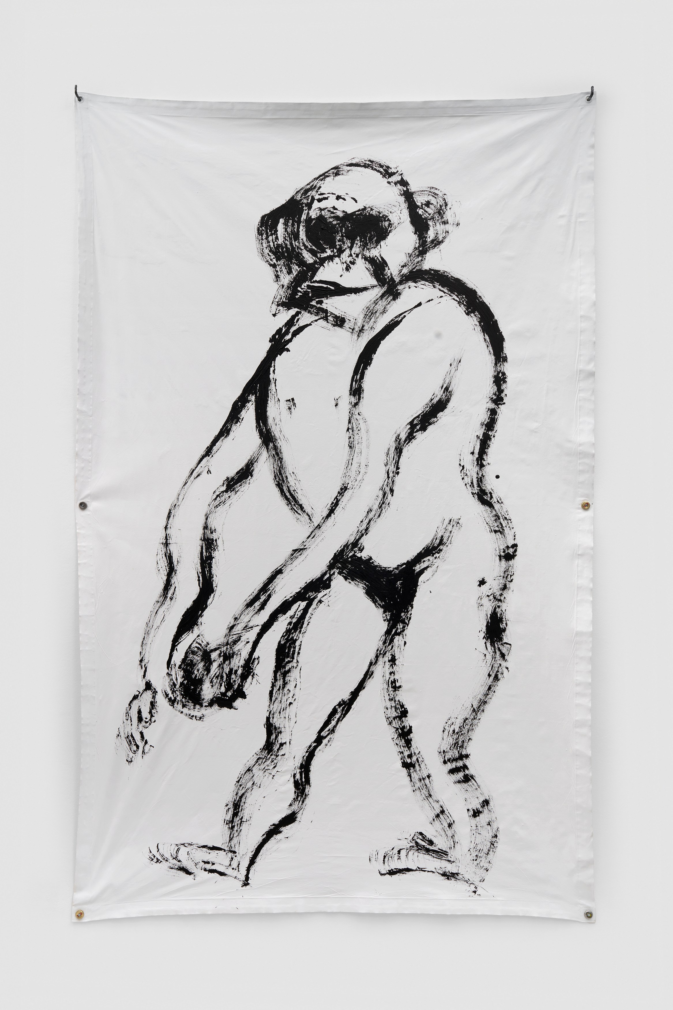 Abraham Cruzvillegas, Splitogetherness: Another Groove at Galerie Thomas Schulte, photo 42